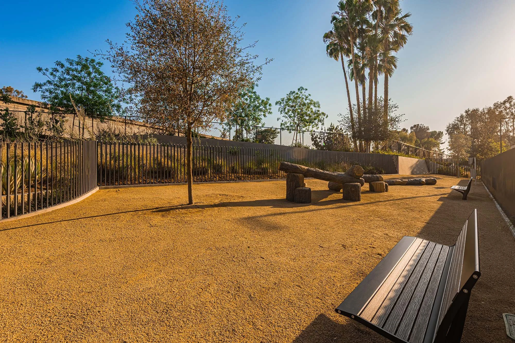 Dog Park