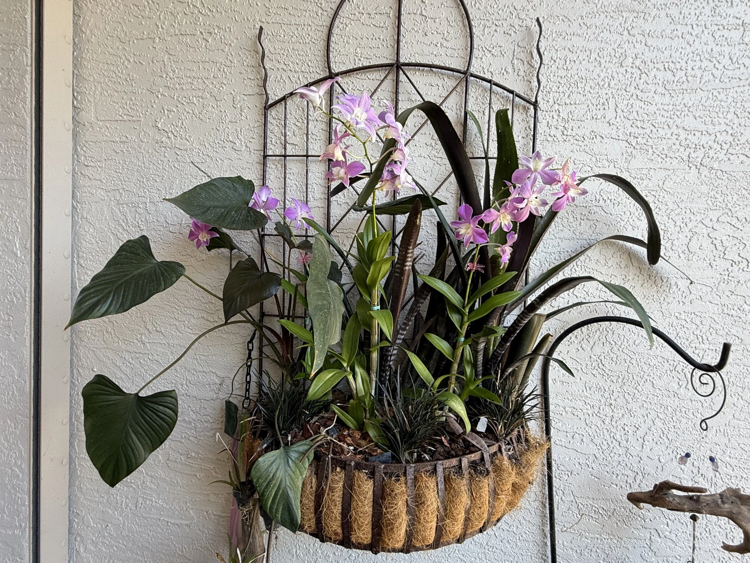 whimsical arrangement with bold deep hues, texture  and leaf shapes. Topped off with bright pops of color