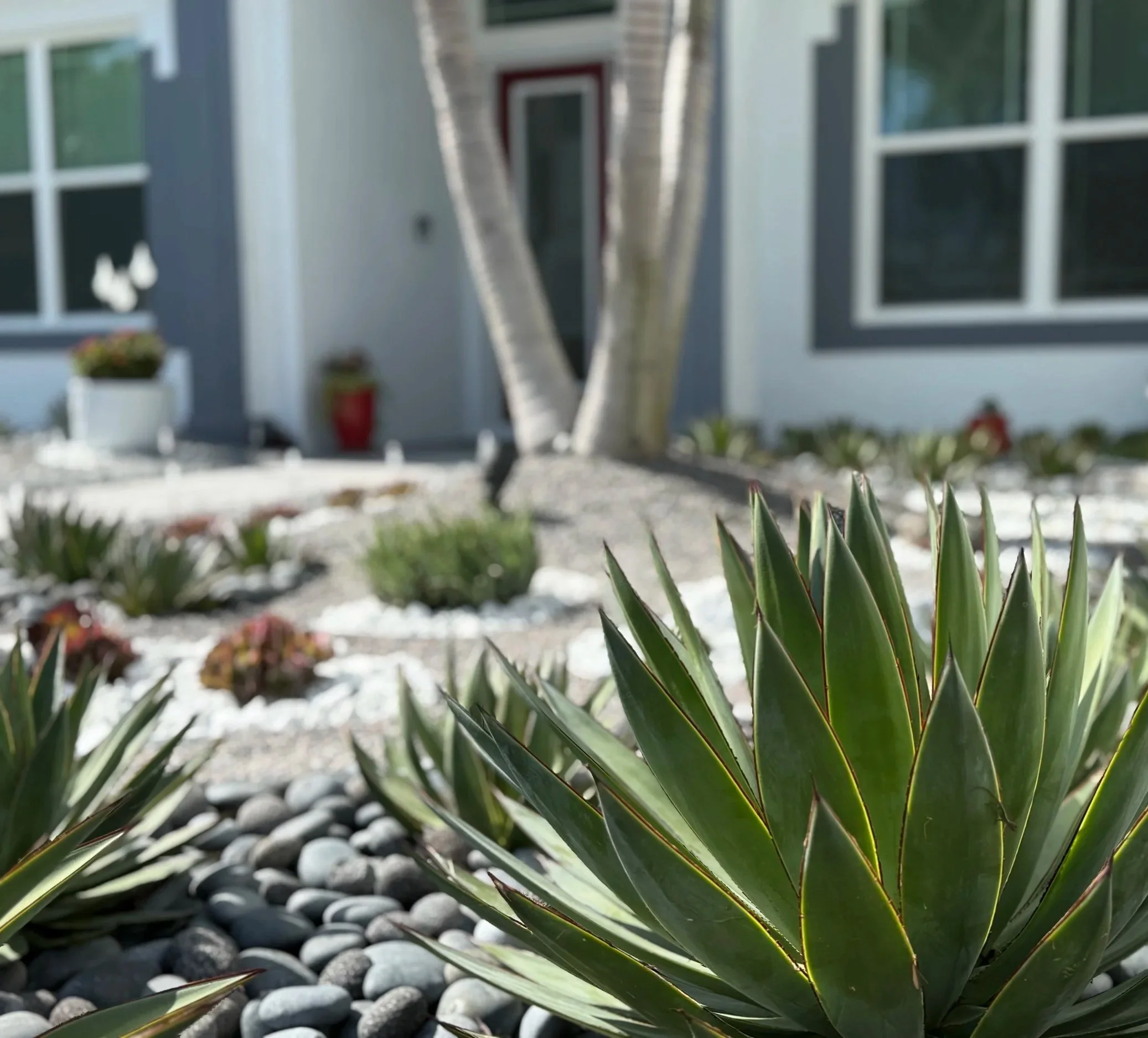 Every plant has their moment to shine