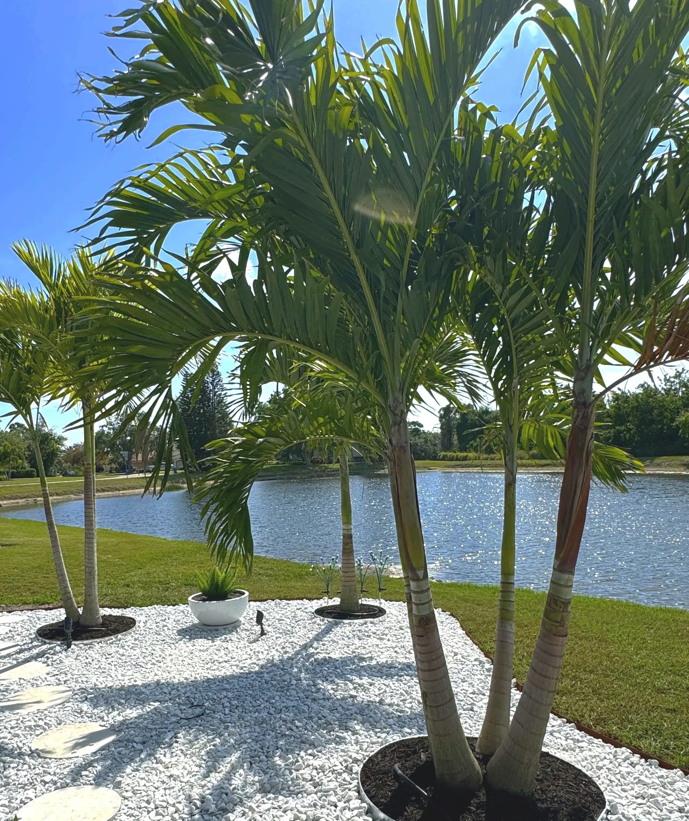 It's a perfect siesta day