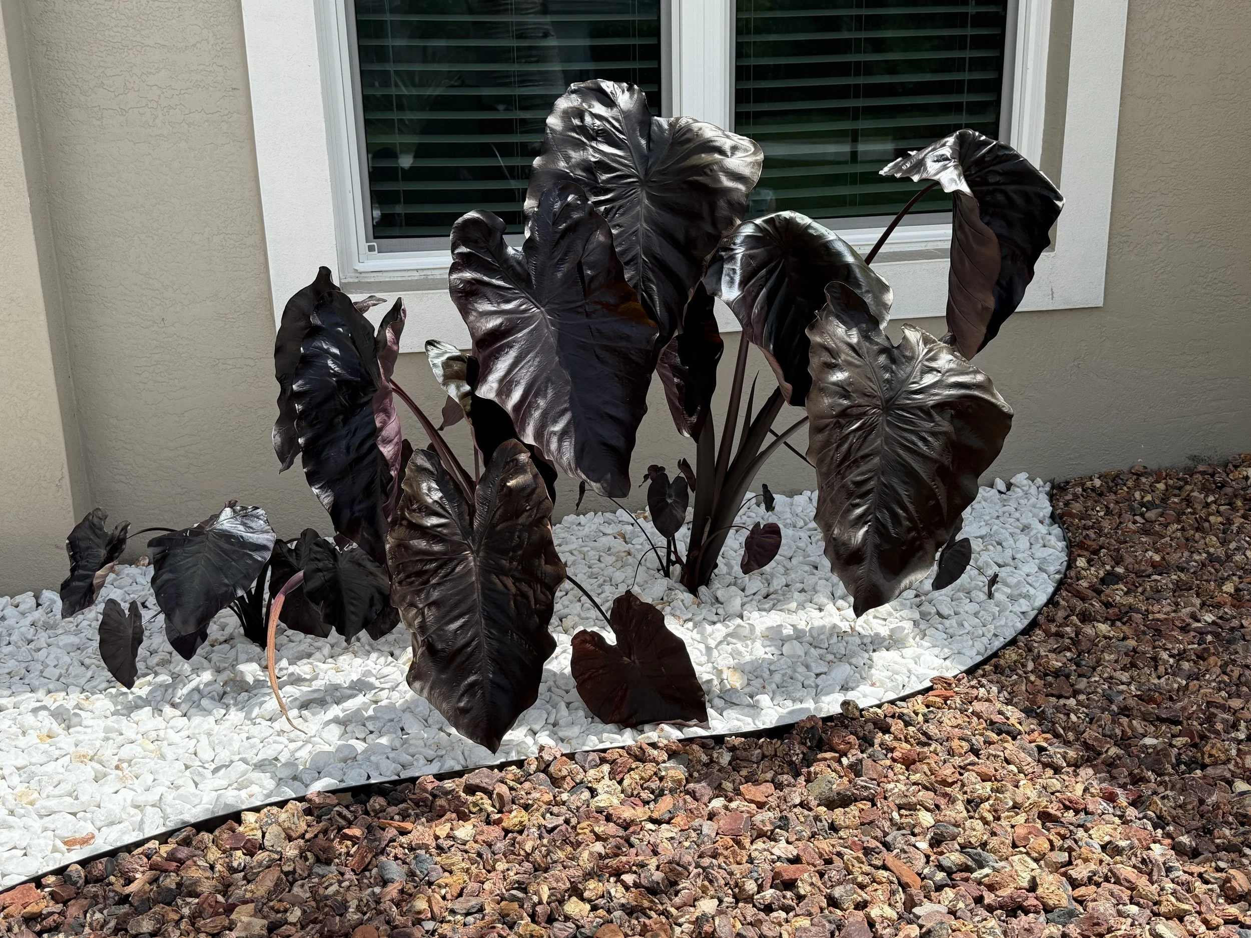 dont just stand out. stand out with some attitude!