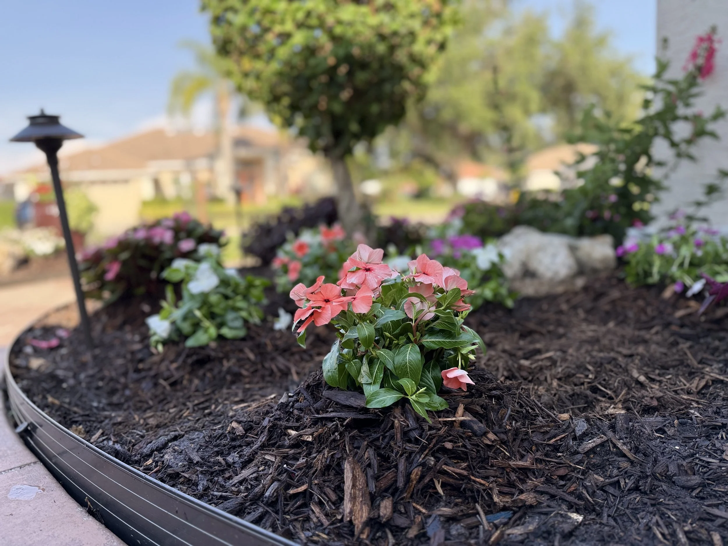 small projects, big smiles. its good to share planty joy