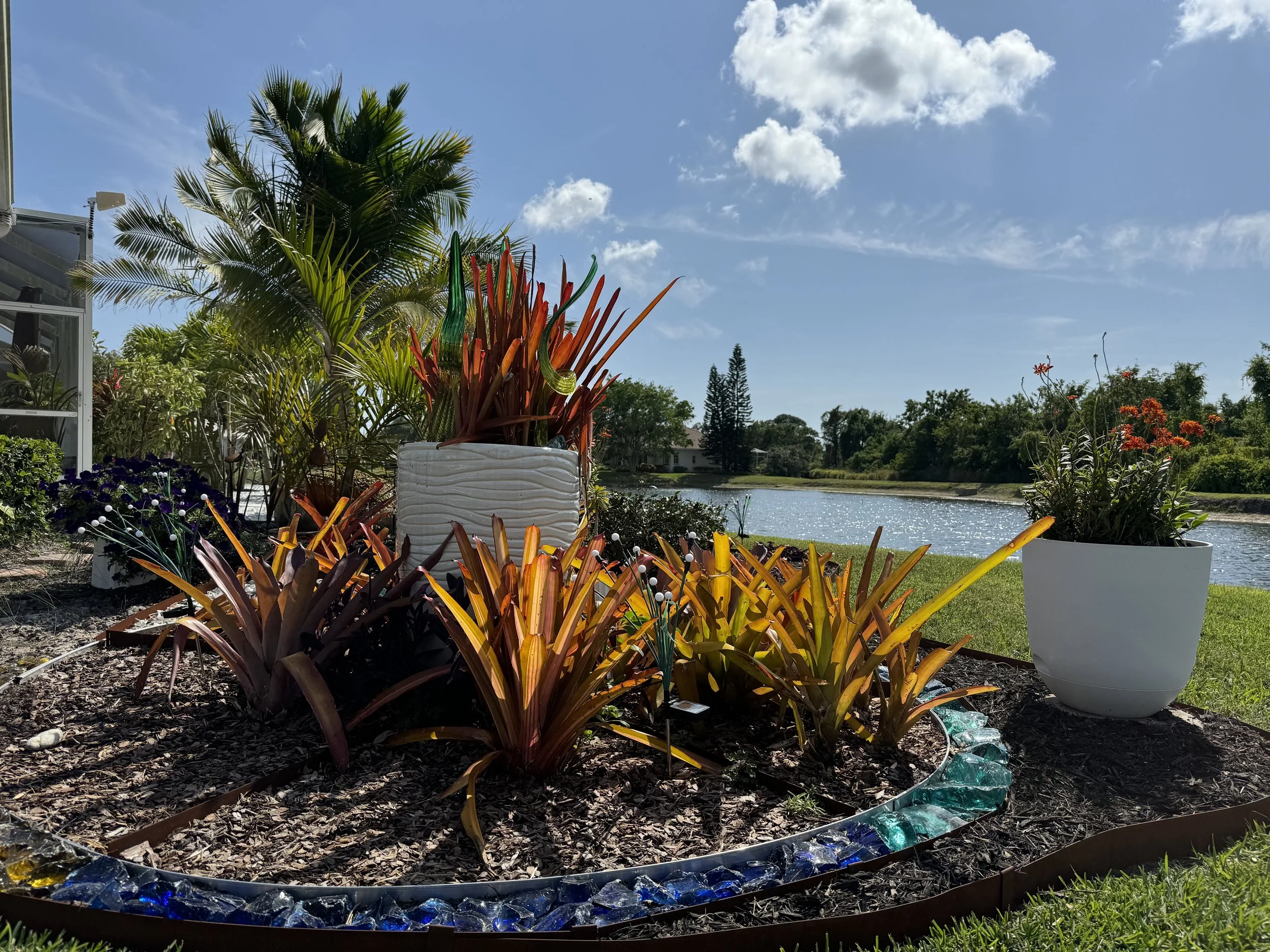 Bromeliad sundial installation 