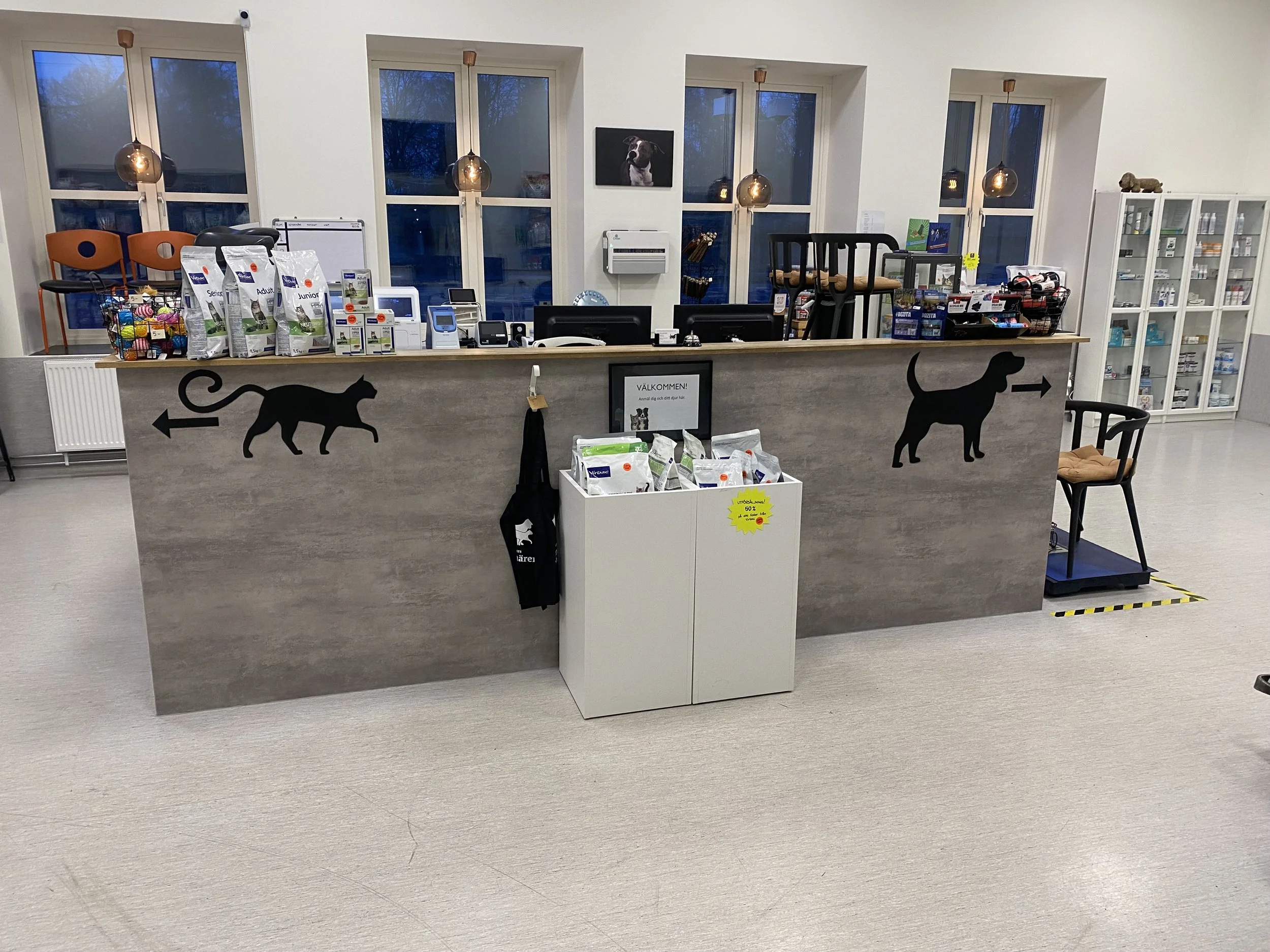 Receptiondisken i ett djurbutik med svart katt och hundsilhuettdekaler, hyllor med djurprodukter