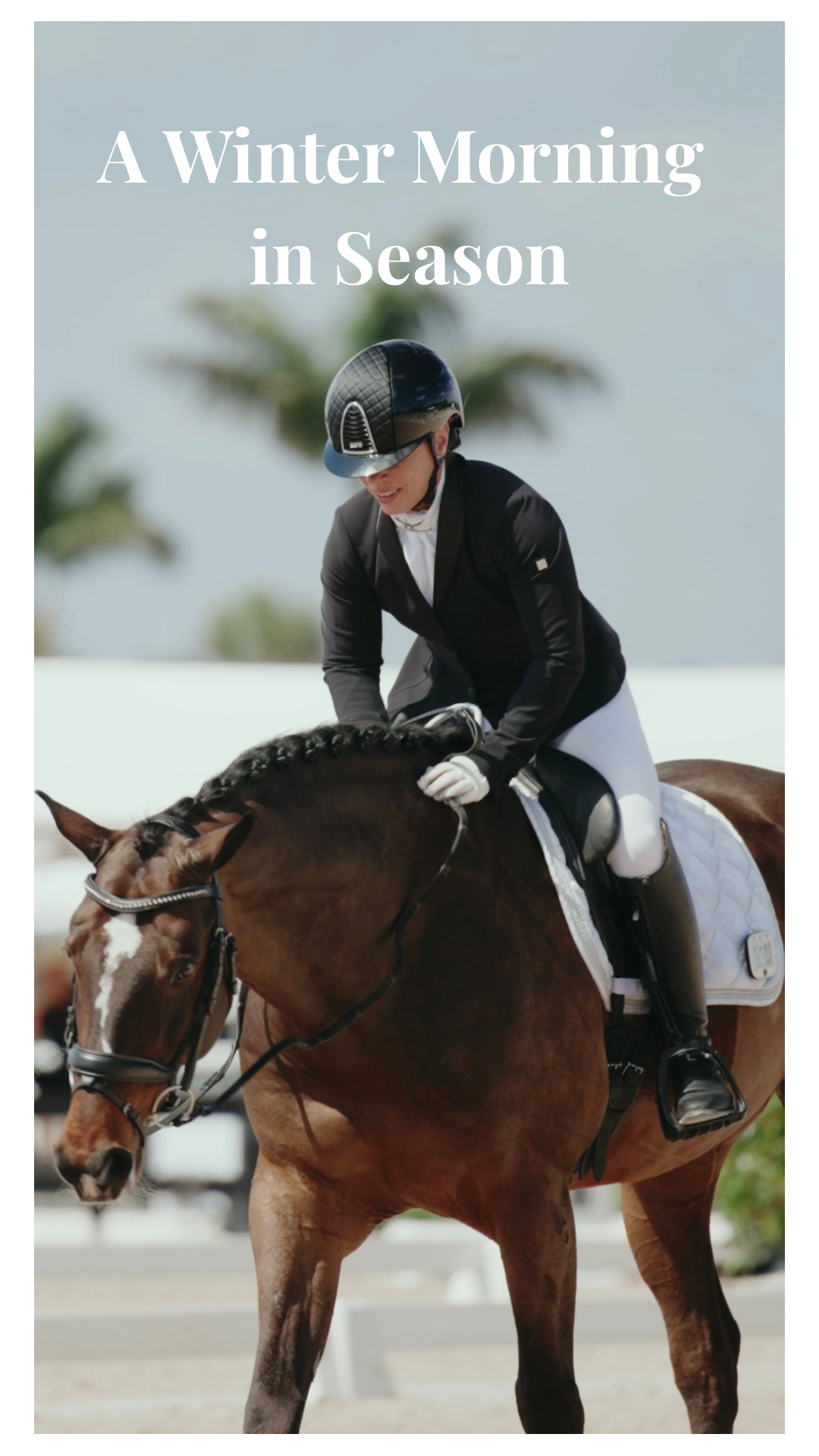 A Winter Morning in Season