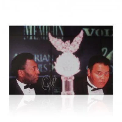 icnpele20x30ali_n.jpg