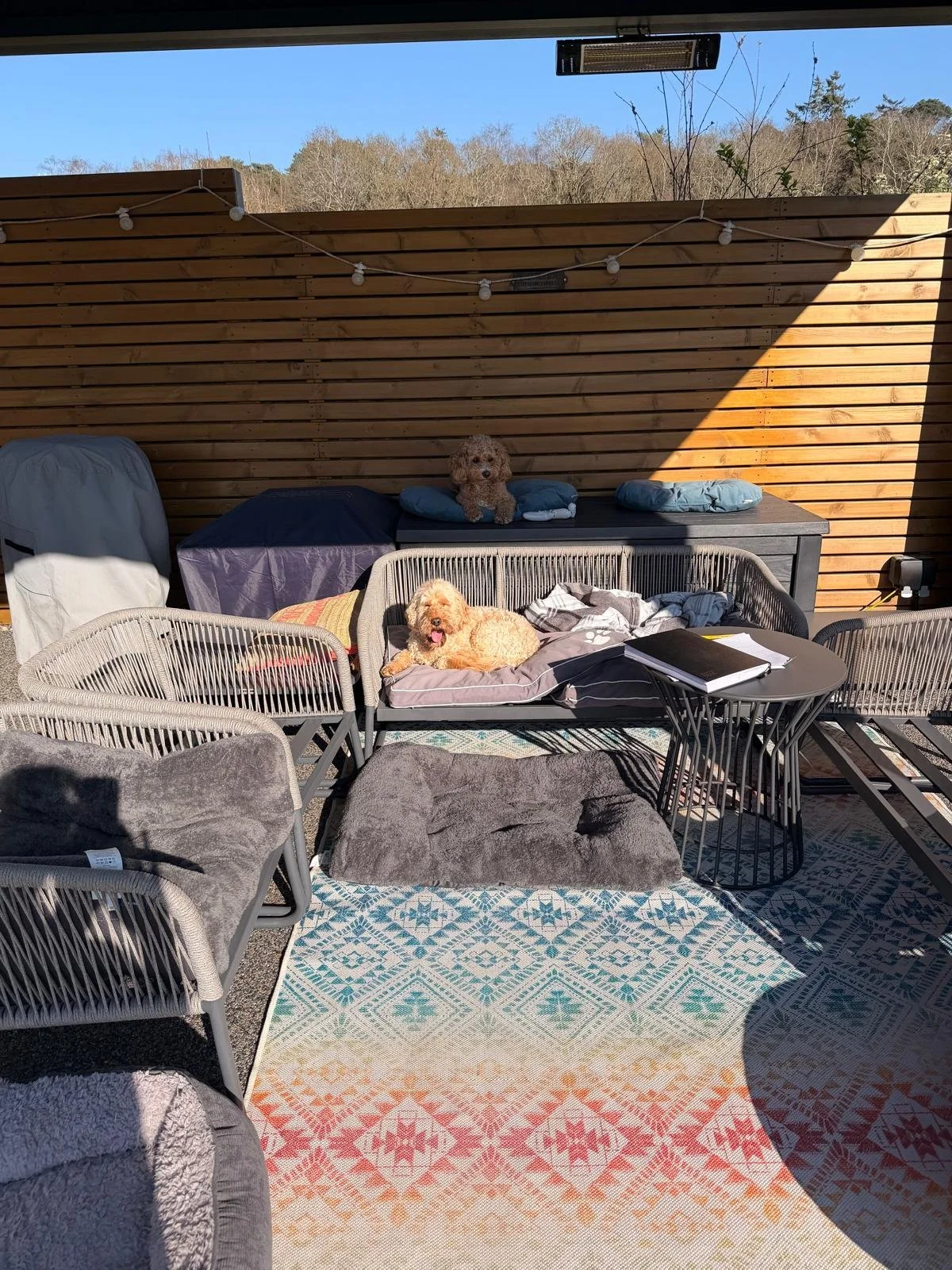 Outdoor patio area with two dogs resting on beds, surrounded by outdoor furniture, a patterned rug, and a wooden privacy fence, with a blue sky and trees in the background.
