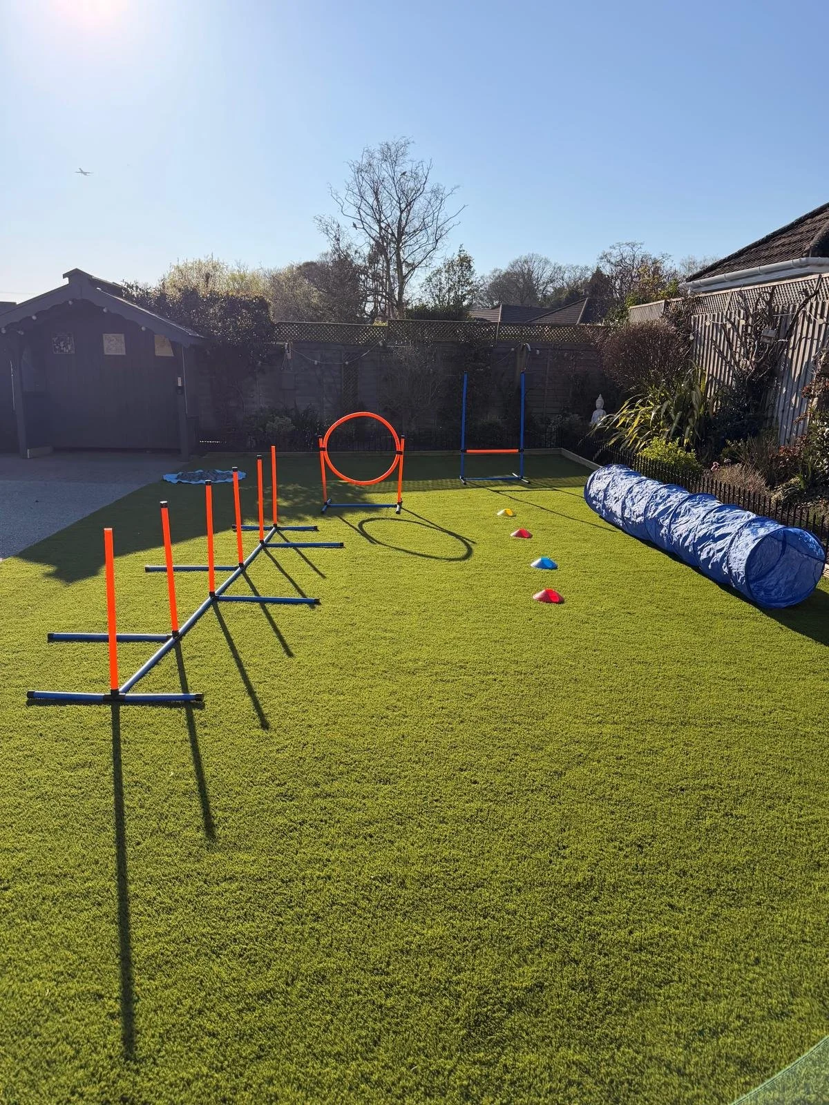 Backyard with agility training equipment including hoops, jumps, cones, and a tunnel on a sunny day.