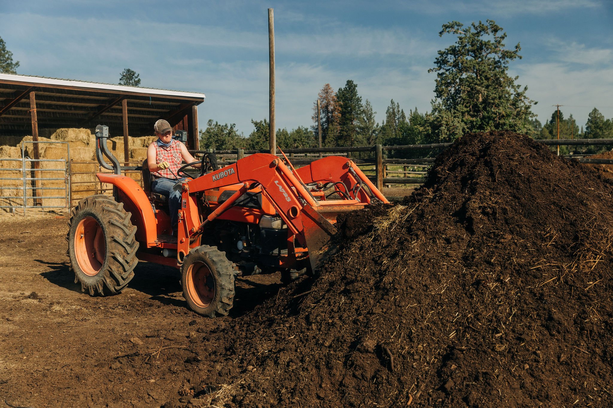 A person operating an orange Kubota tractor on a farm, moving a large pile of soil or compost. The background shows farm buildings, hay bales, a wooden fence, and trees under a blue sky.