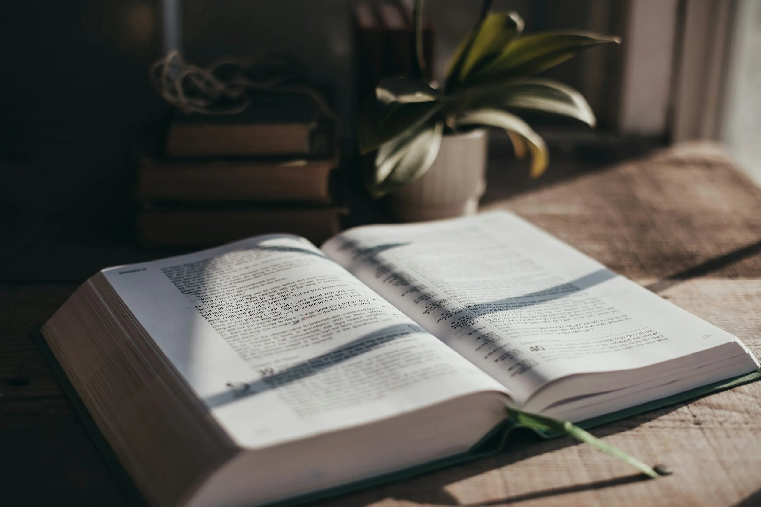 Studere Dei Verbum: Study God’s Word
