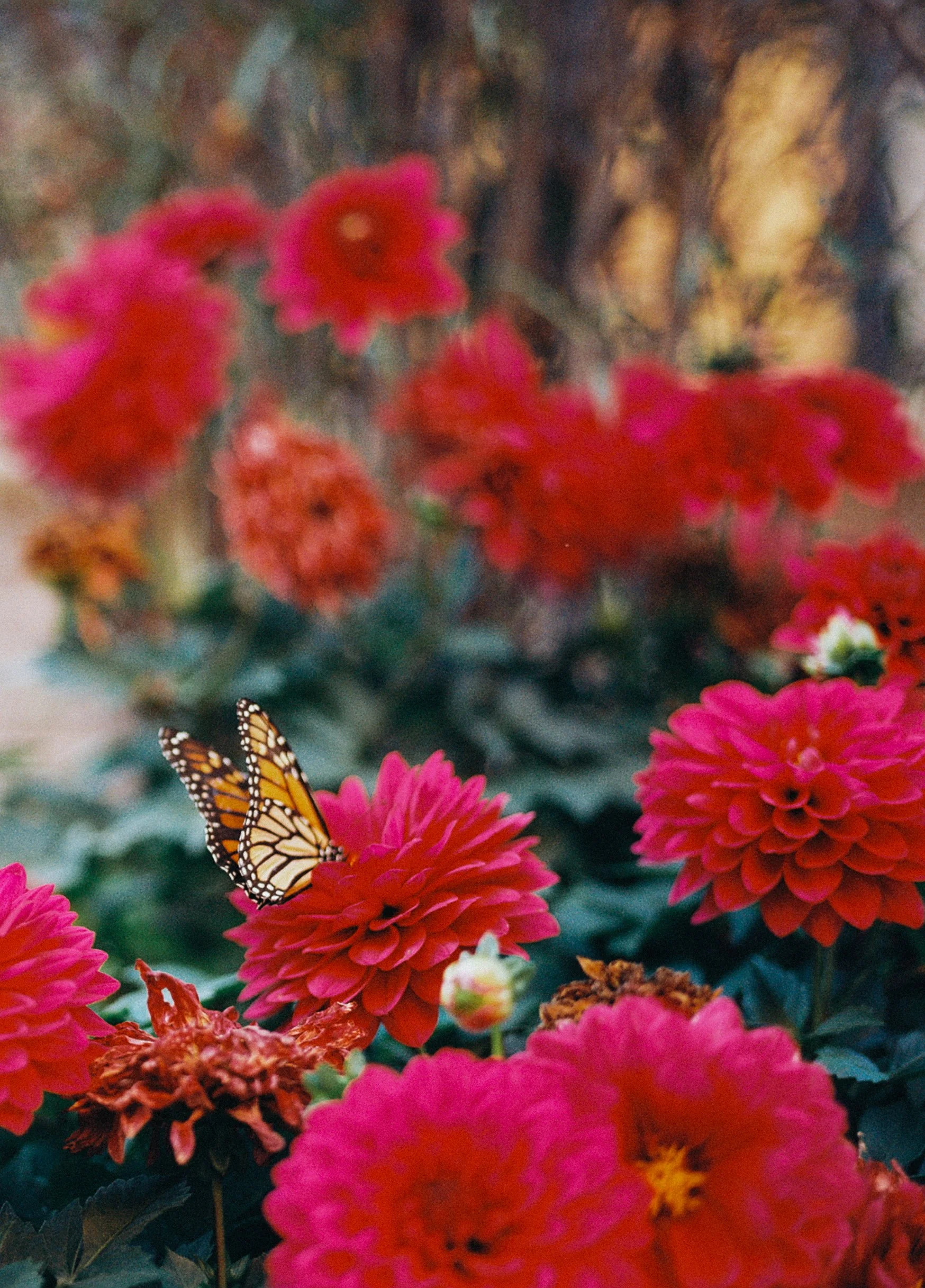 R1-03178-0008-2.jpg