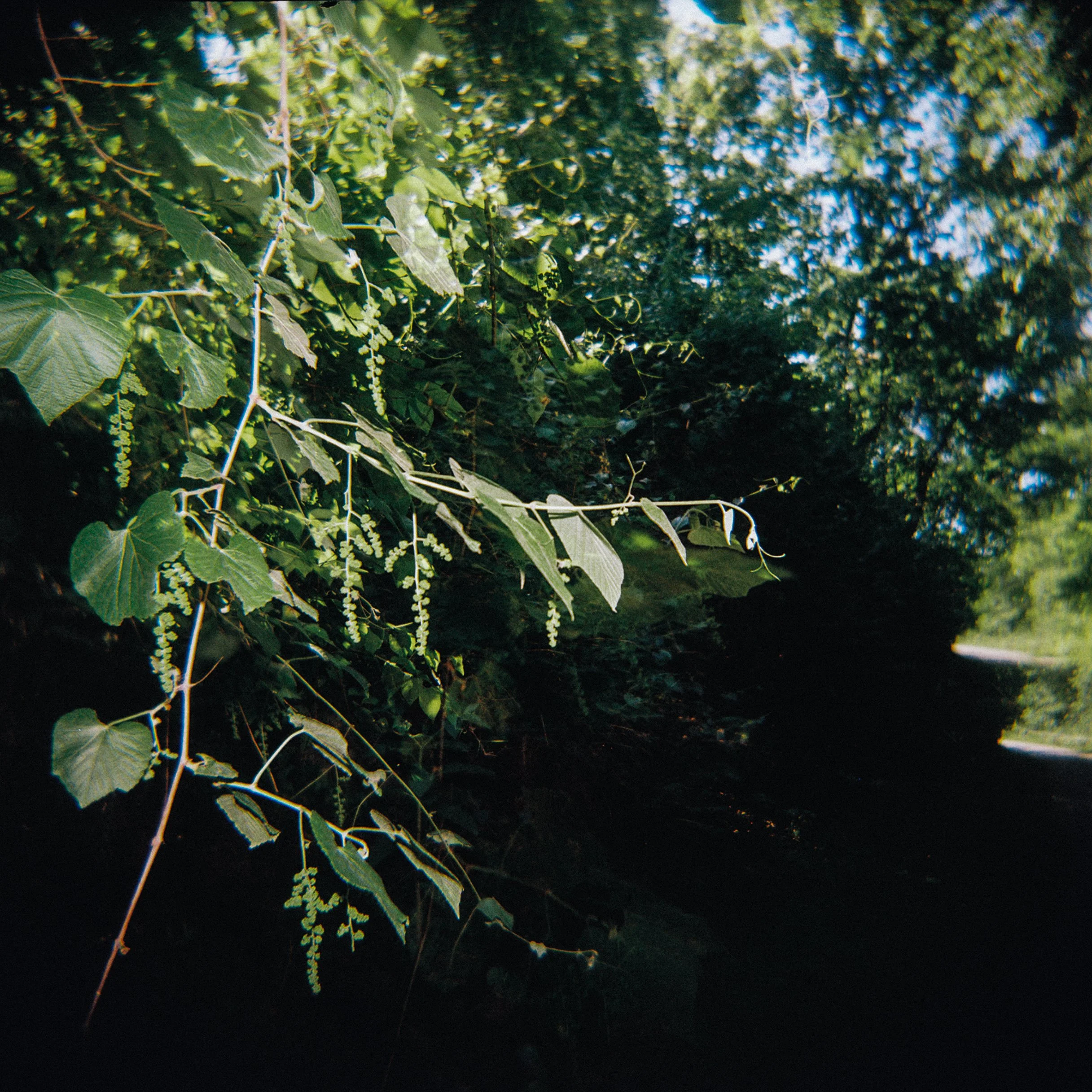 R1-07680-0009.jpg
