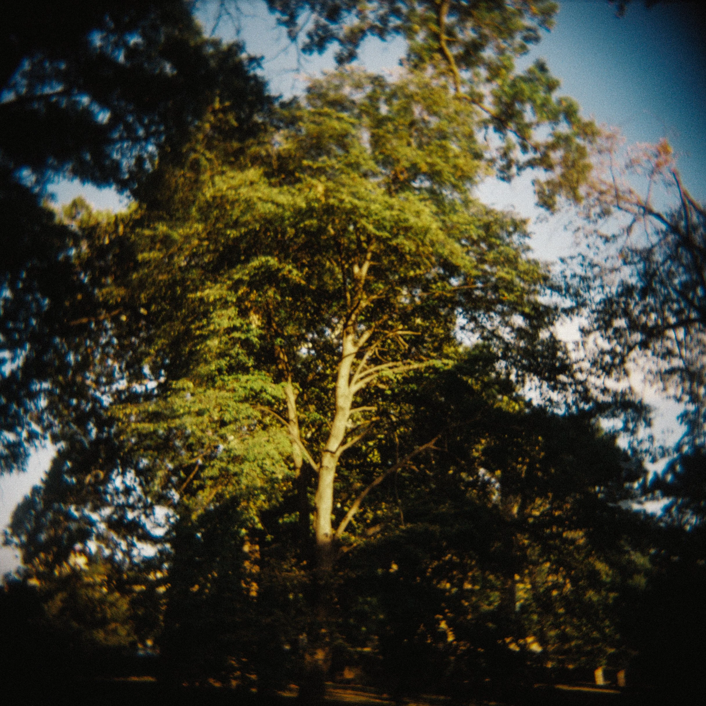 R1-03177-0005.jpg