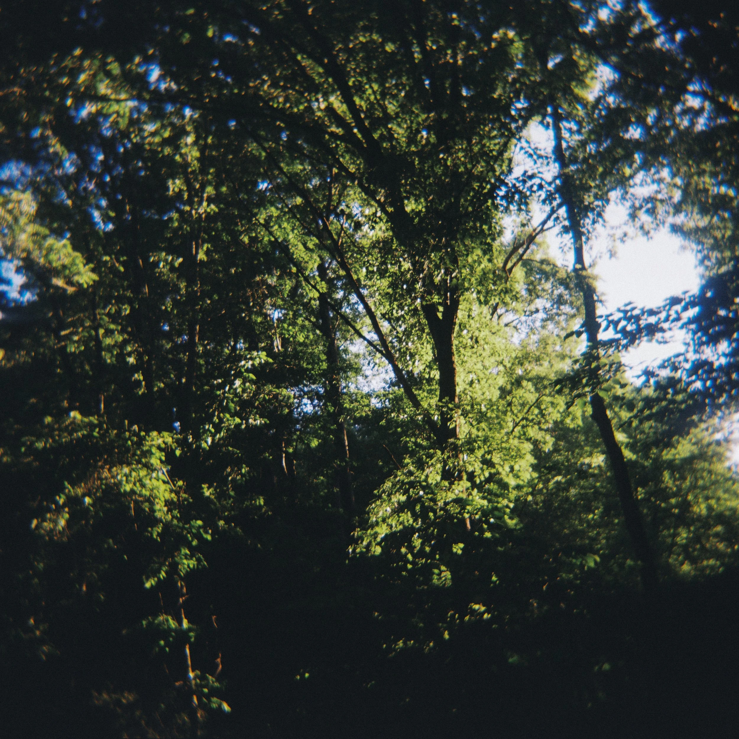 28546_08.jpg