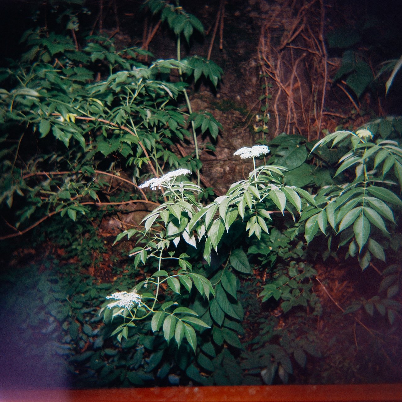 R2-08037-0001 copy.jpg