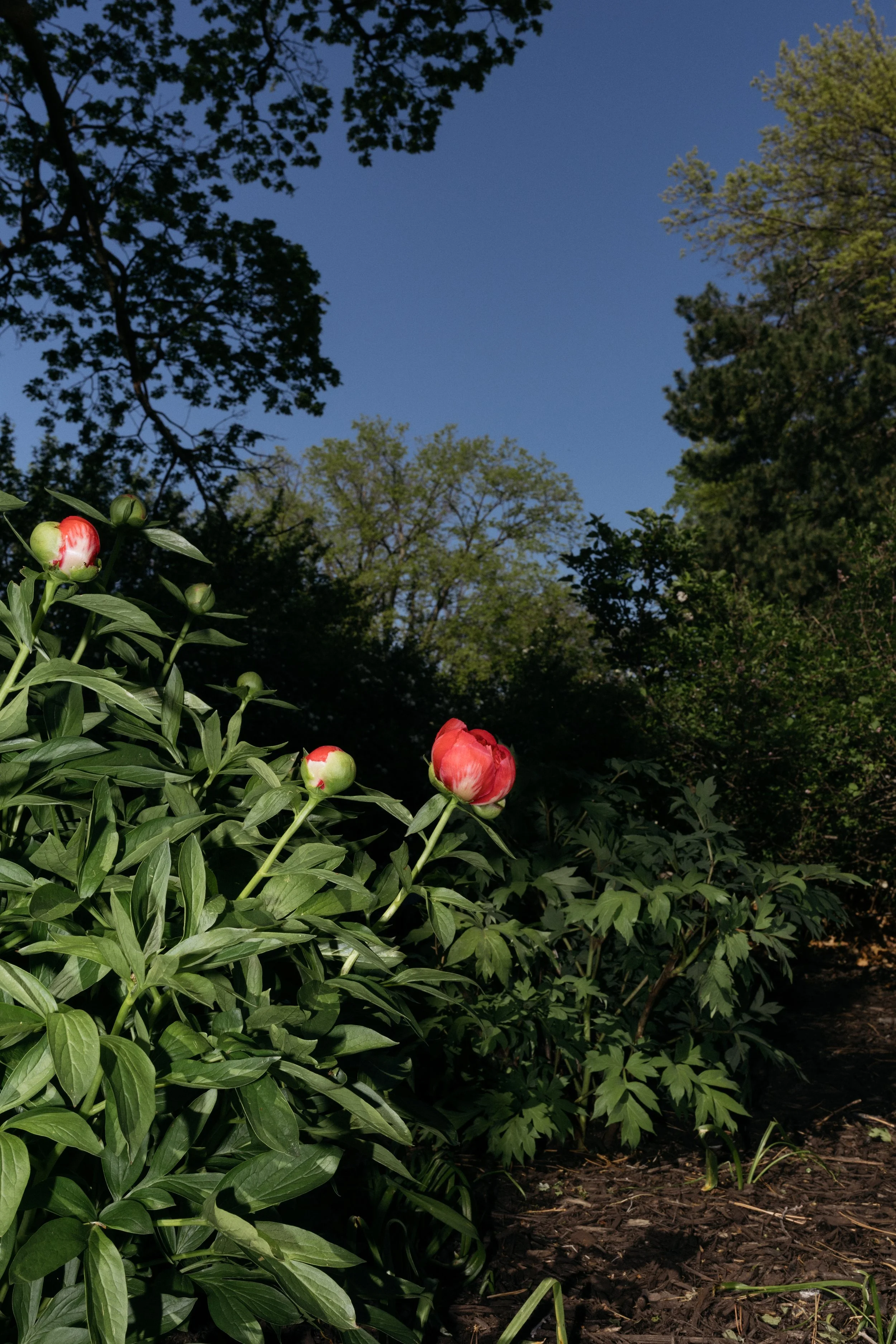 4I9A6732.jpg