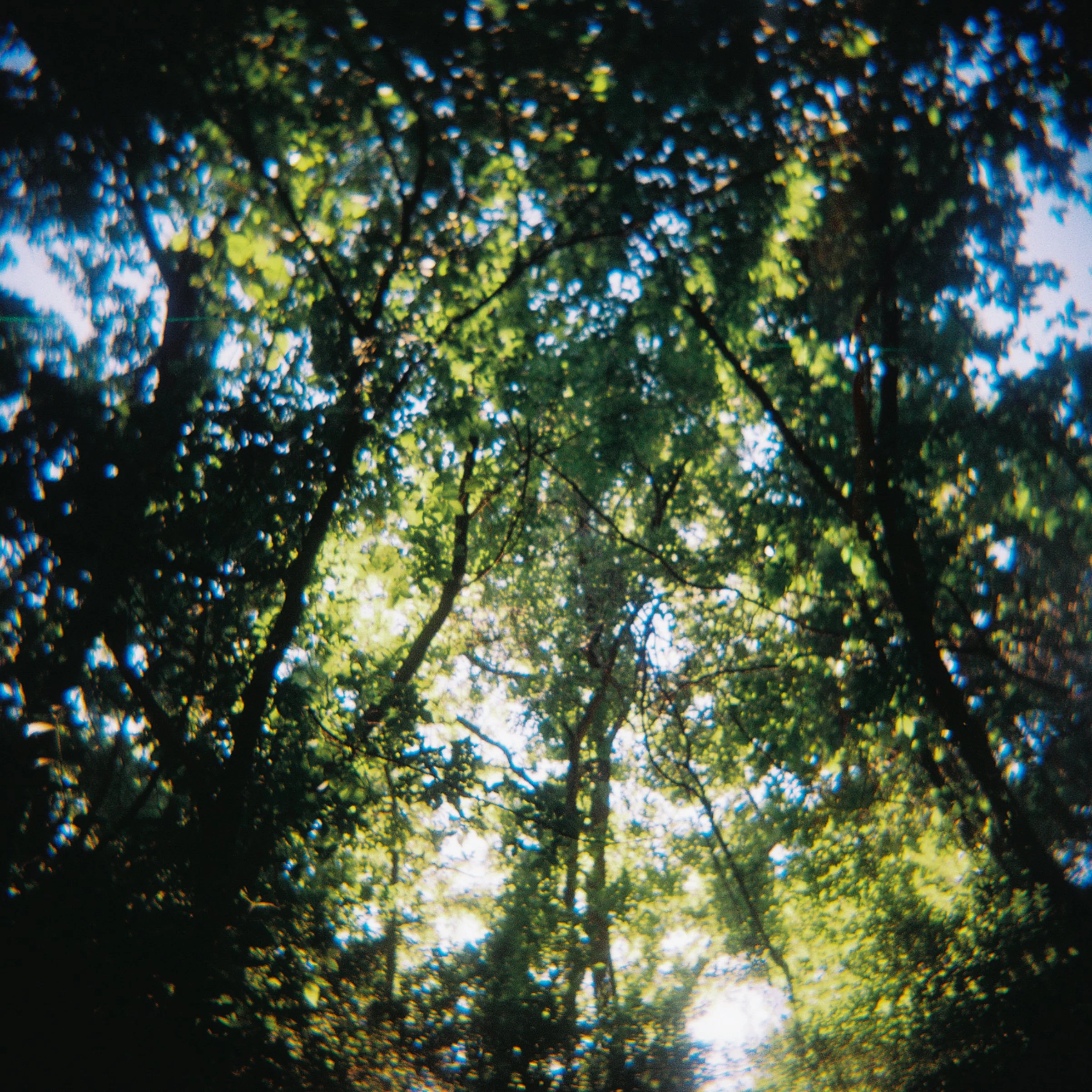 R1-07682-0001.jpg