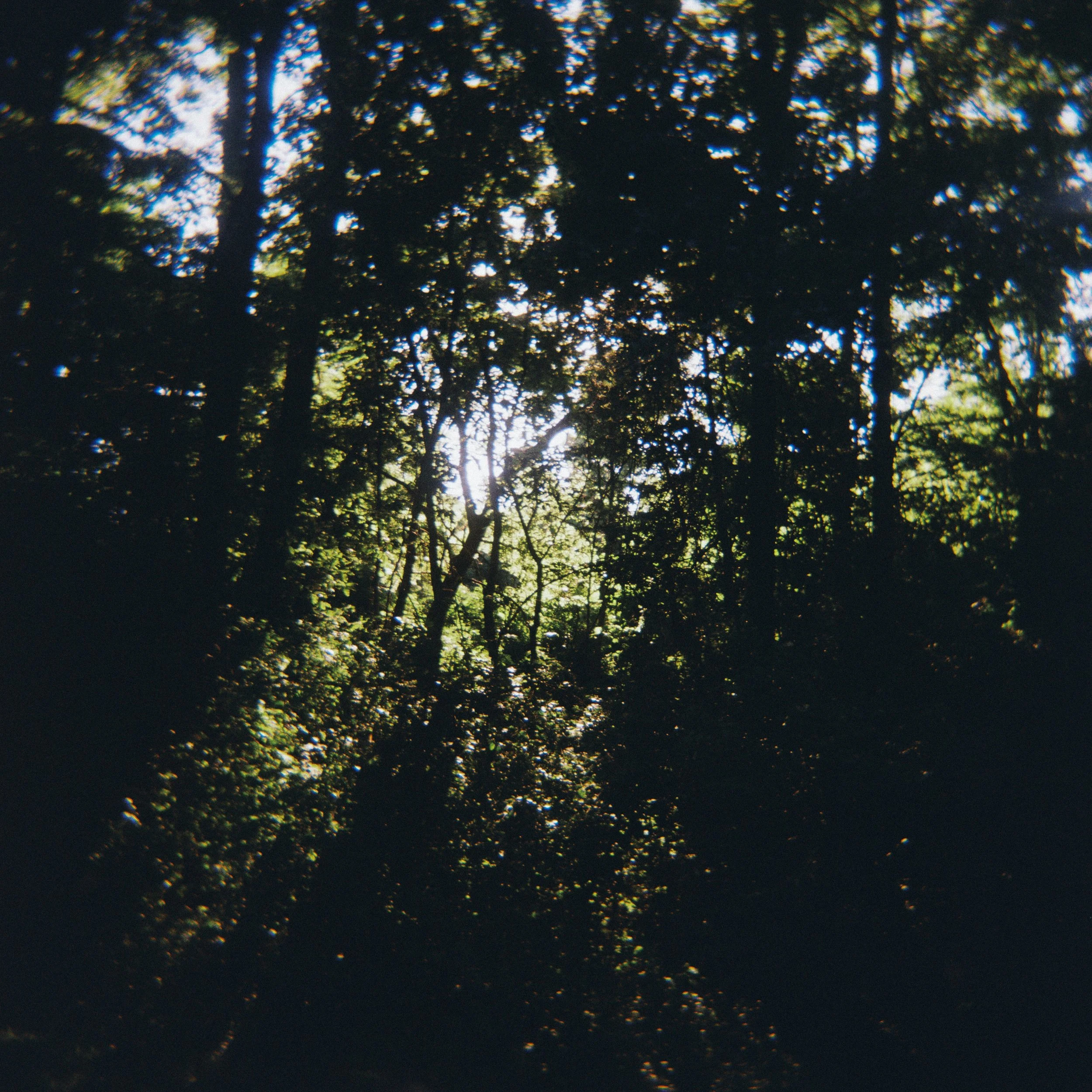 28546_05.jpg