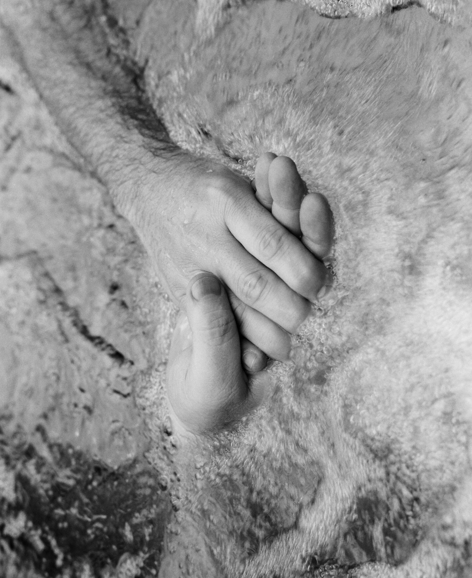 A person's hand holding the hoof of a horse, with the horse laying on the ground with sand or dirt around.