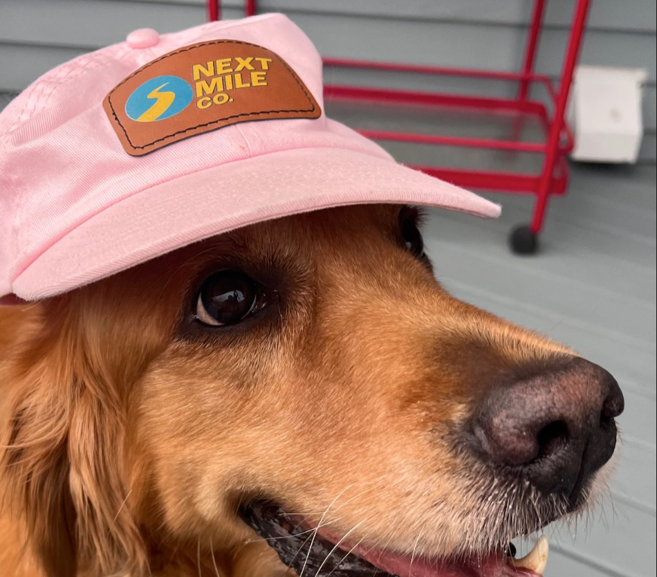 Close-up of a golden retriever wearing a pink cap with a 'Next Mile Co.' patch. The dog is outdoors with a gray wall and a red shopping cart in the background.