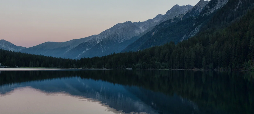 Regulate to Ryze - Nervous System Workshop