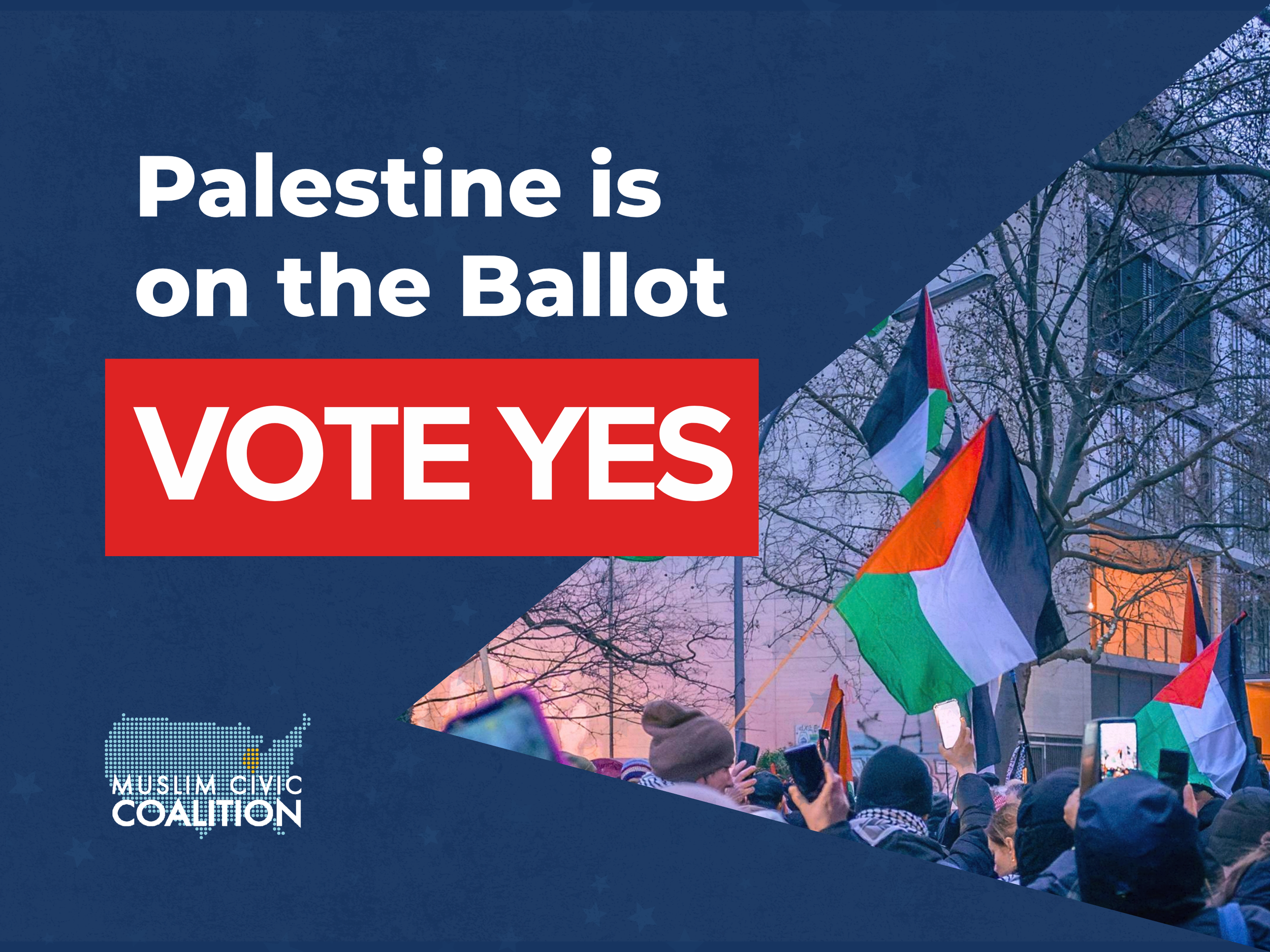 Free Speech and Palestine Are on the Ballot in Eight Illinois Communities. Vote Yes.