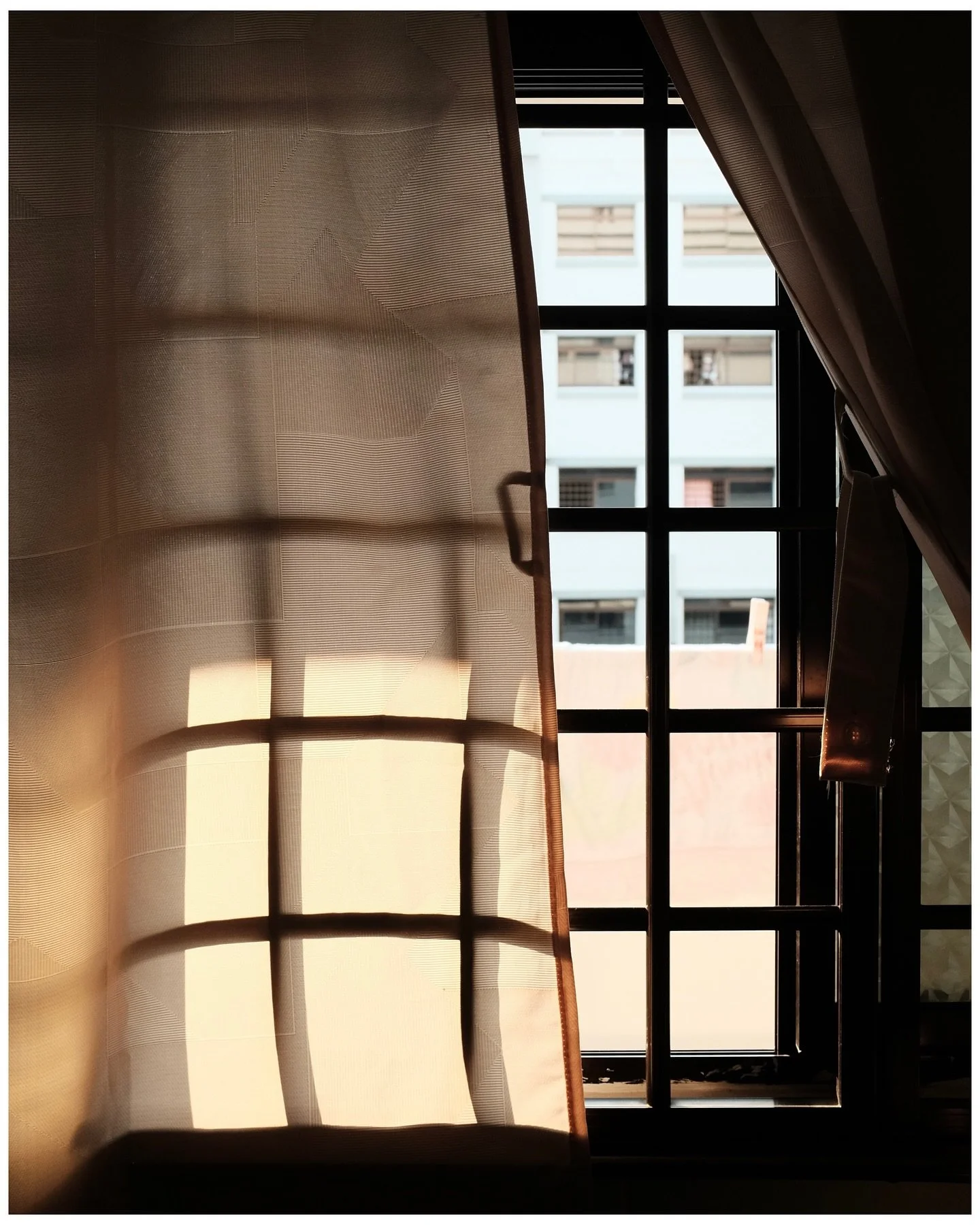 more sun soaked moments around home 🥰🥰🥰 - the shadows on the X100T are so deep, really love it 

Fujifilm X100T
- 
#fujifilm #X100T #x100tfujifilm #fujifilmx100t #sooc #fujifilmx100 #x100series #fujifeed #fujixseries #fujilove #fujifilmxseries #fu