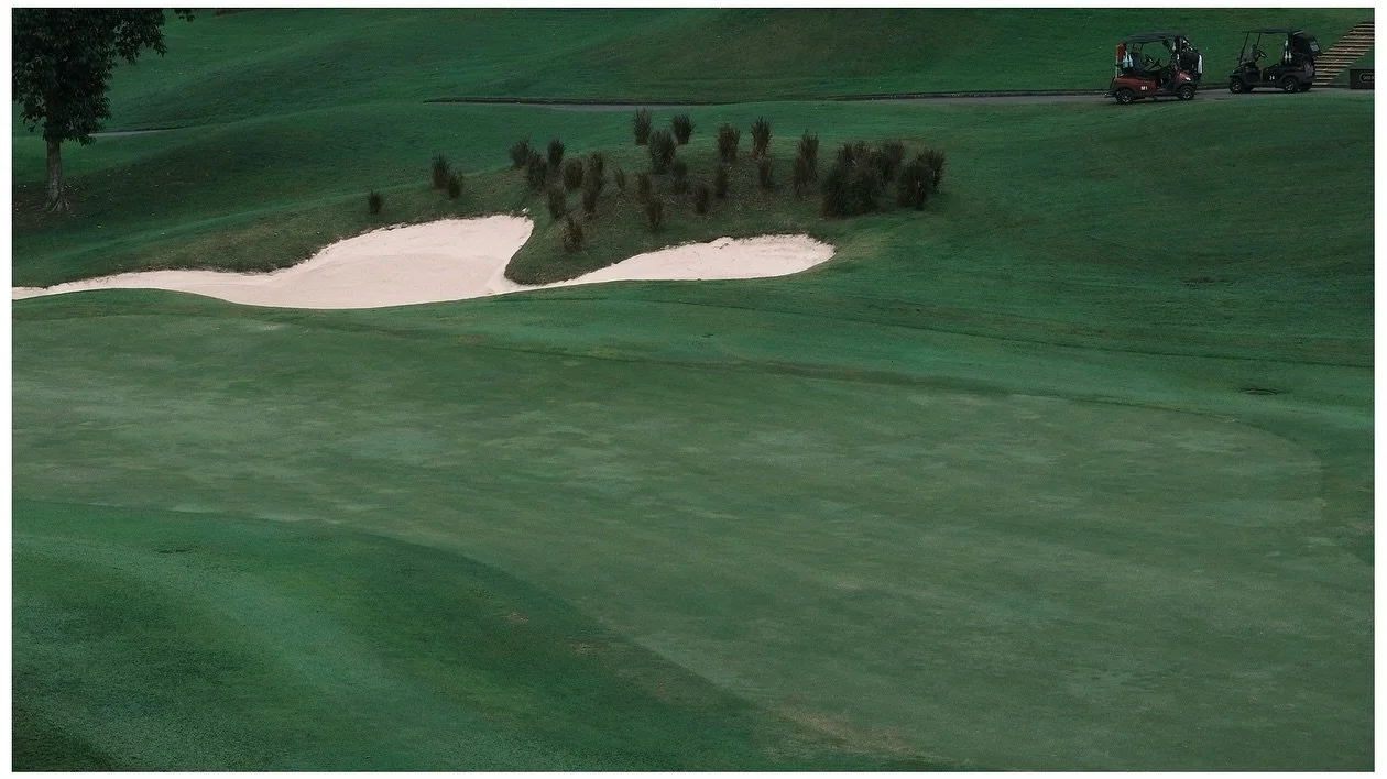 golf green considerations - why don&rsquo;t they let people frolic on the green?? Look at it, its perfect for a roll around 

Fujifilm X-T50 // XF 27mm F2.8
- 
#fujifilm #xt50 #fujifilmxt50 #sooc #xf27mmf28 #fuji #fujifeed #fujixseries #fujilove #fuj