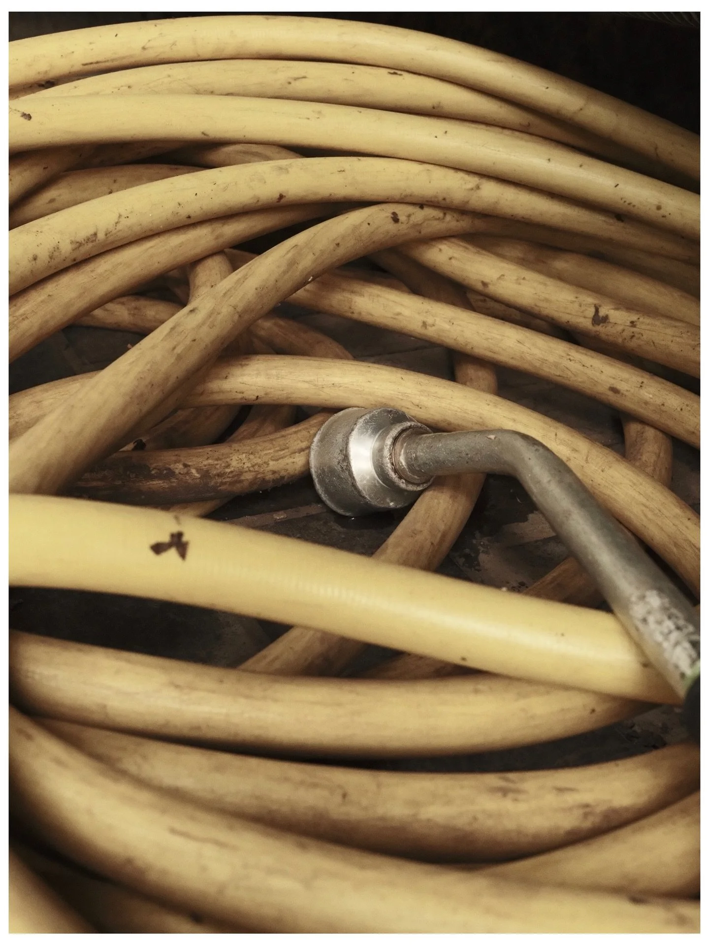 back to form - specifically, noodle forms. Mian. Spaghetti. Bee Hoon. Maggi Mee. 🍜🍝

Fujifilm X-T50 // XF 27mm F2.8

- 

An offering to the a/gorithm: Pictures made with the #Fujifilm X-T50, straight out of camera, using #filmsimulation &amp; #film