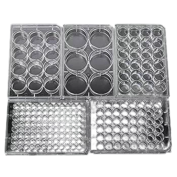 Flat Bottom Cell Culture Plate