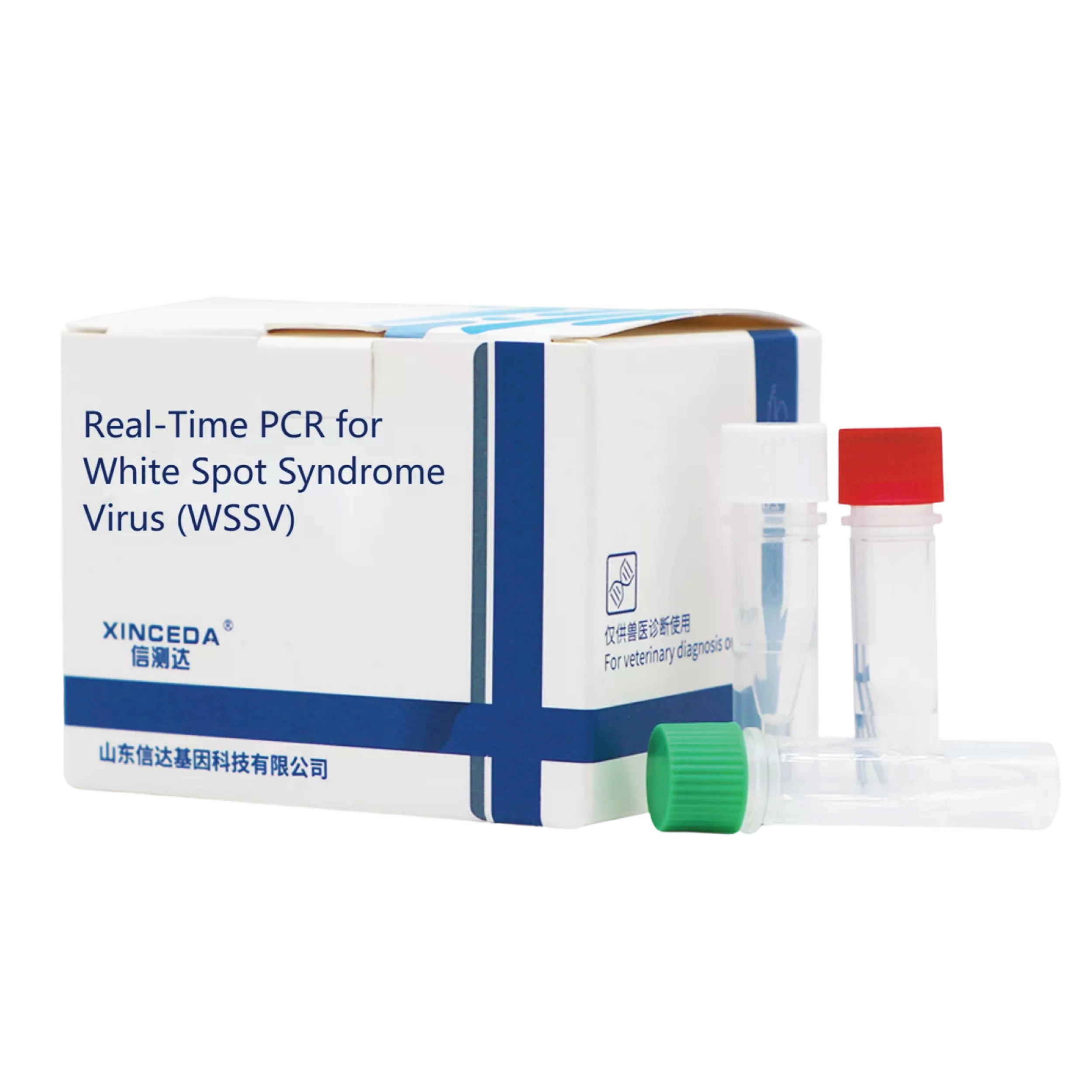 White Spot Syndrome Virus (WSSV) Real Time