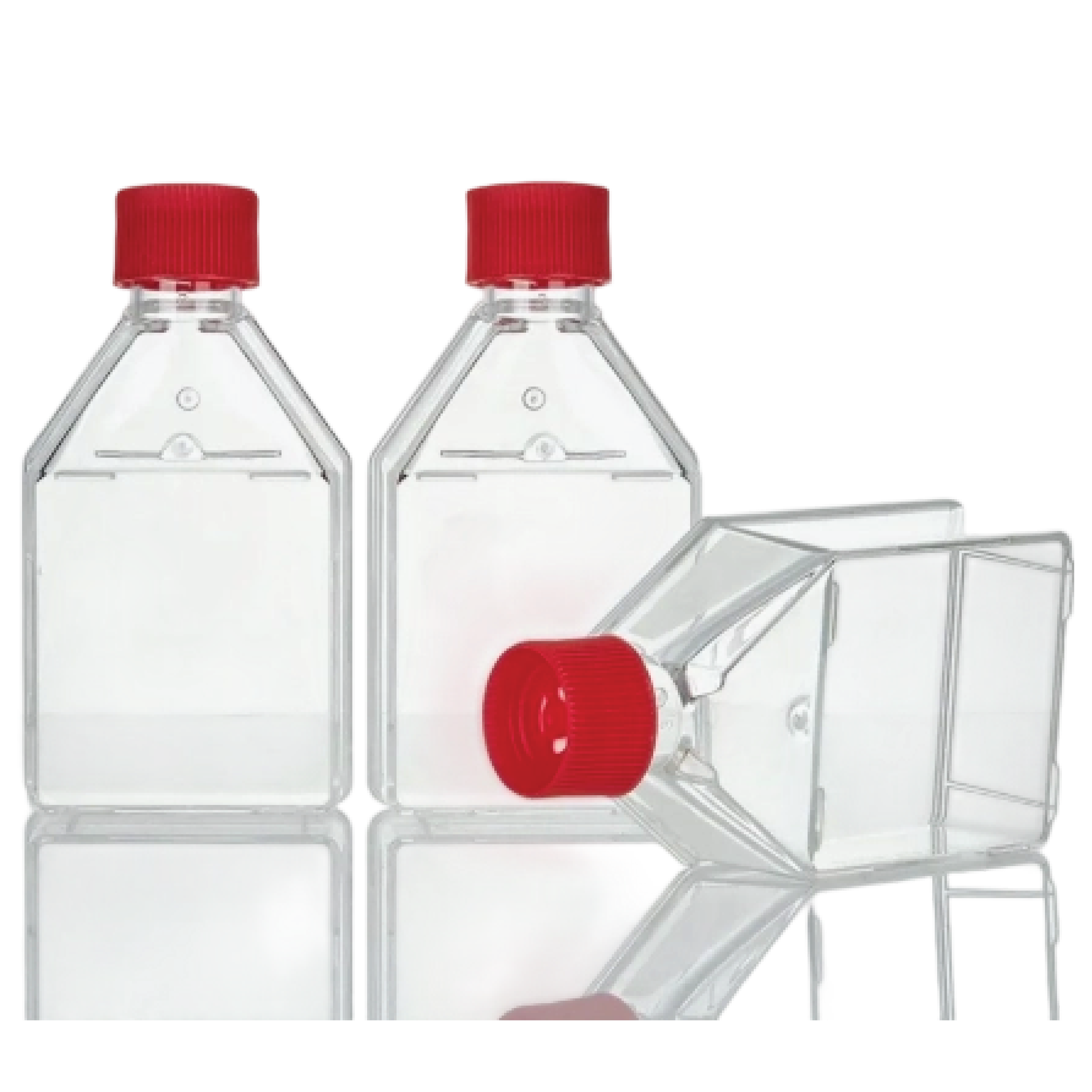 Tissue Culture Flask