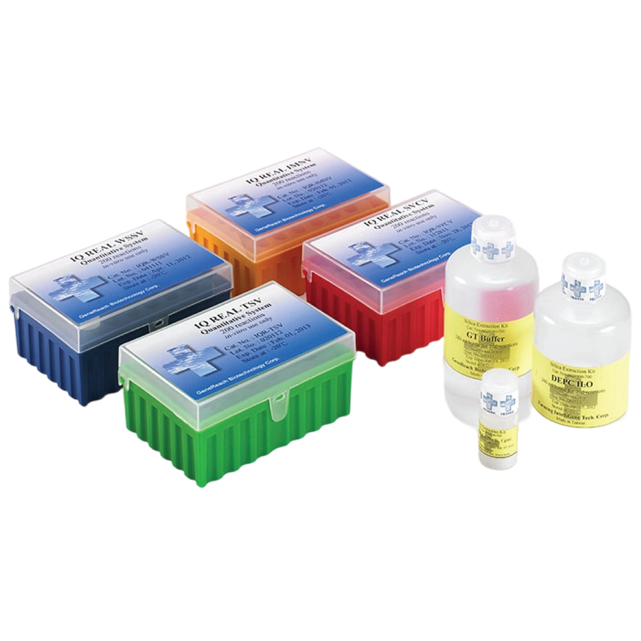 IQ REAL Streptococcus iniae Quantitative