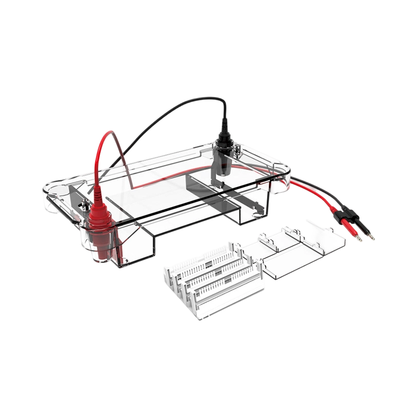 Horizontal & Vertical Electrophoresis Tank