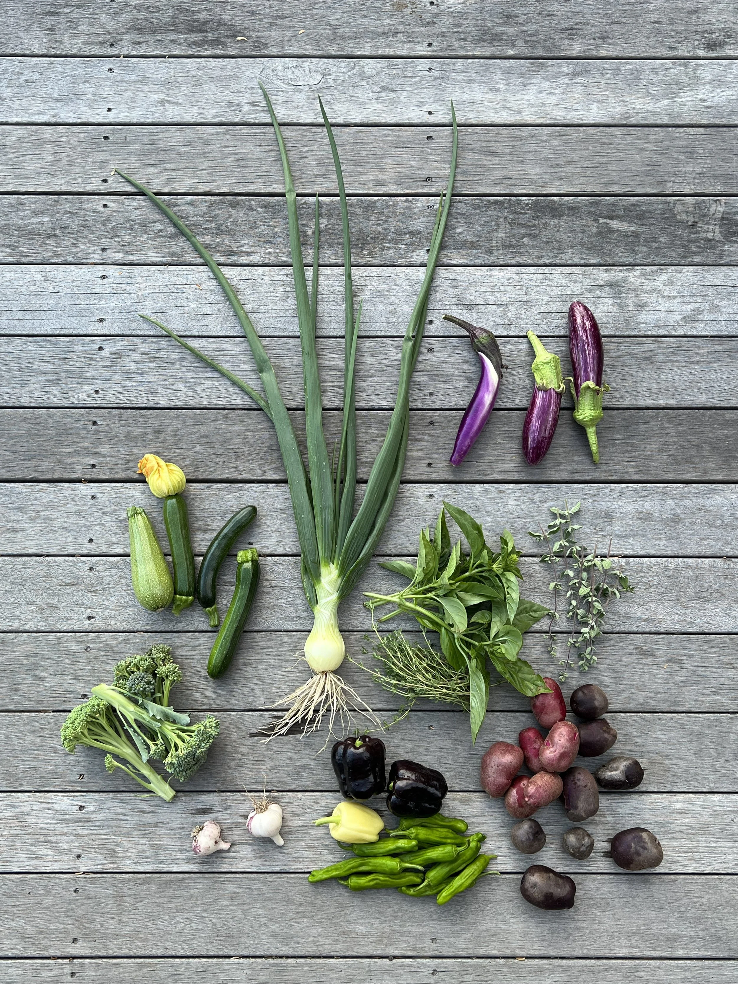 Spread of garden vegetables_Onion, Eggplant, Zucchini, Pepper, Potato, Broccoli, herbs, Garlic