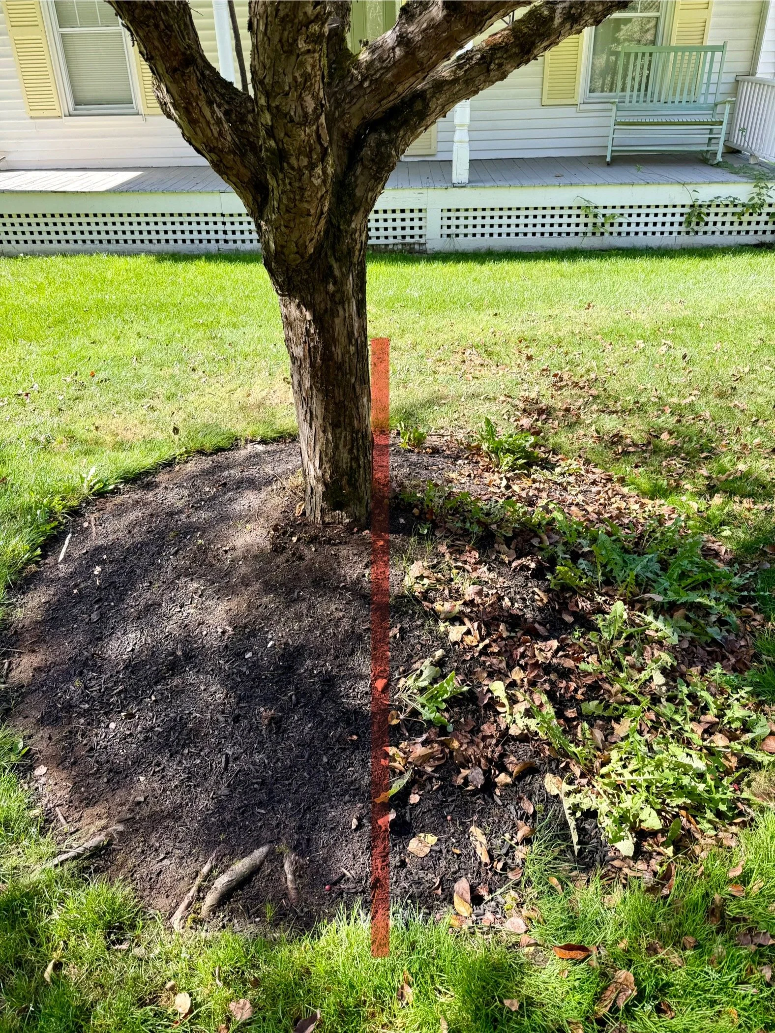 Clean + Edge; after/before
