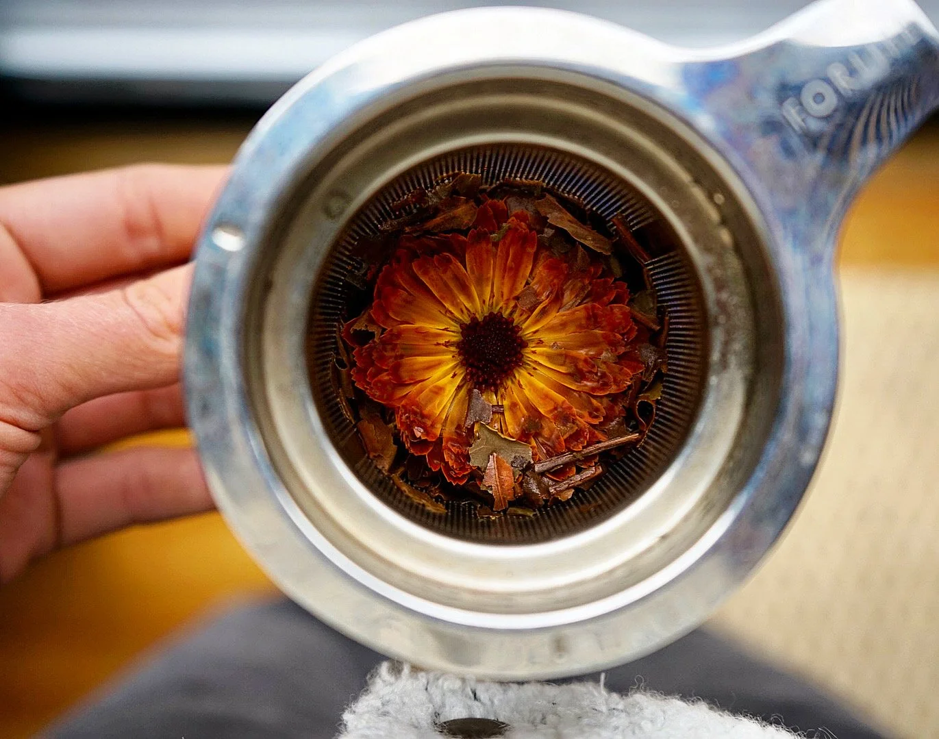 Dried and rehydrated Calendula tea in Cape Elizabeth Maine