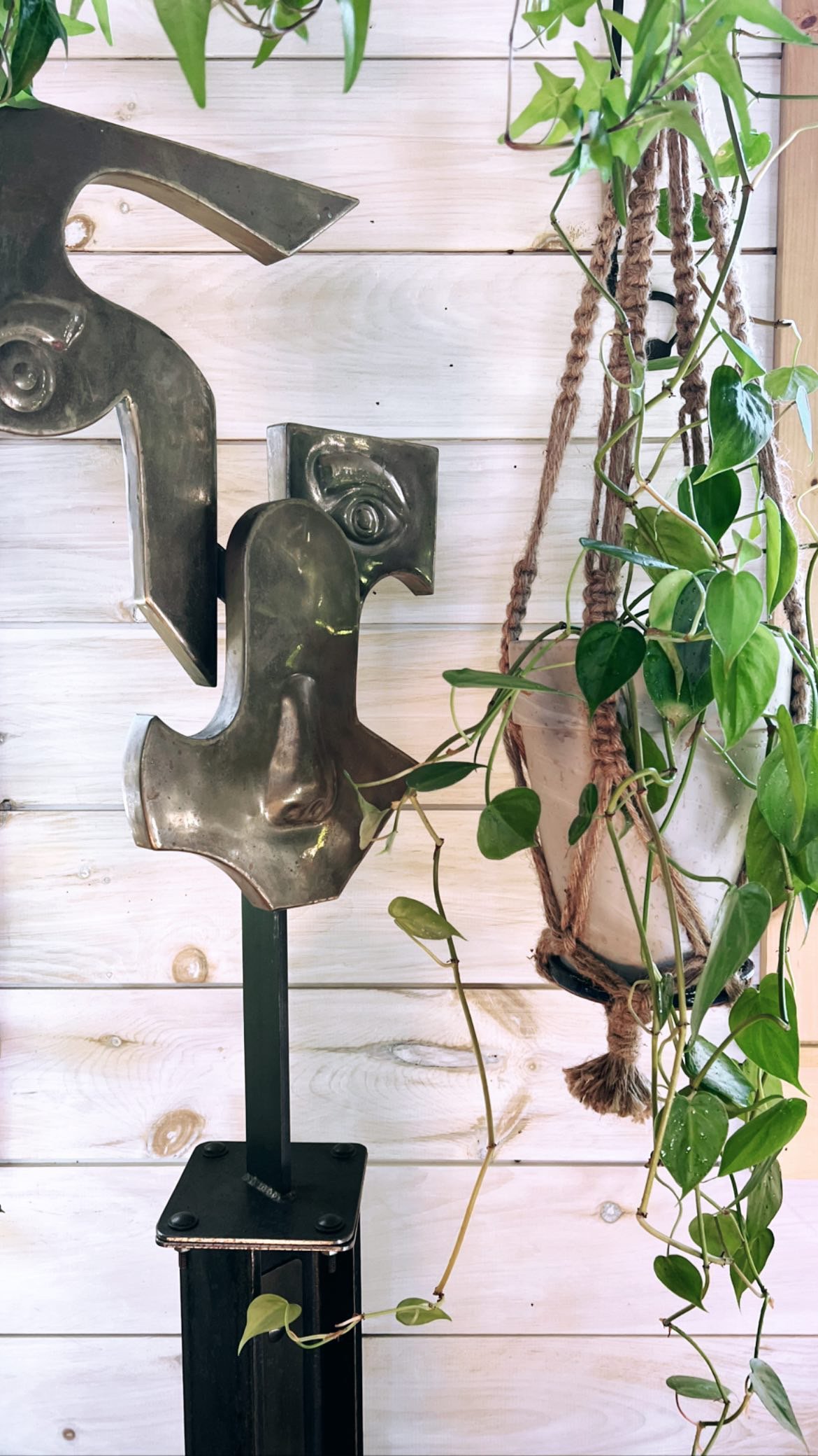 Indoor Plant Care in Coastal Maine