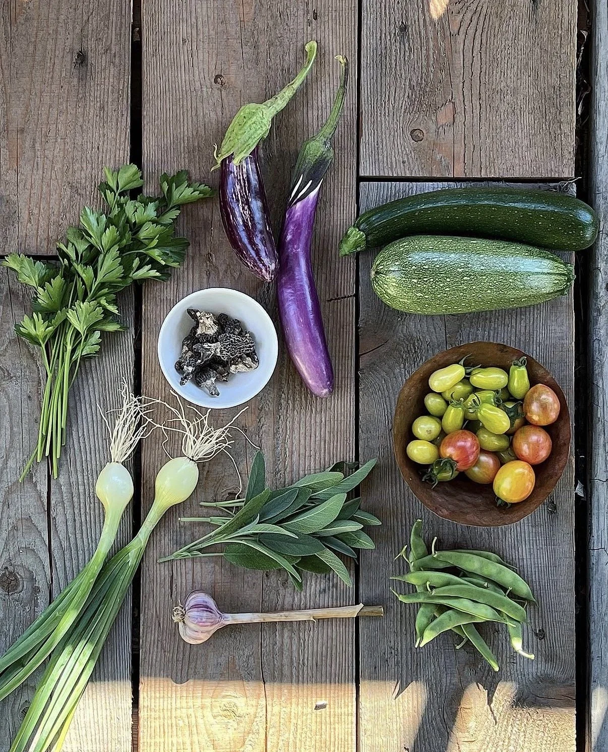 Harvest of eggplant, zucchini, tomato, sge, pea, onion, parsley and morel mushrooms.