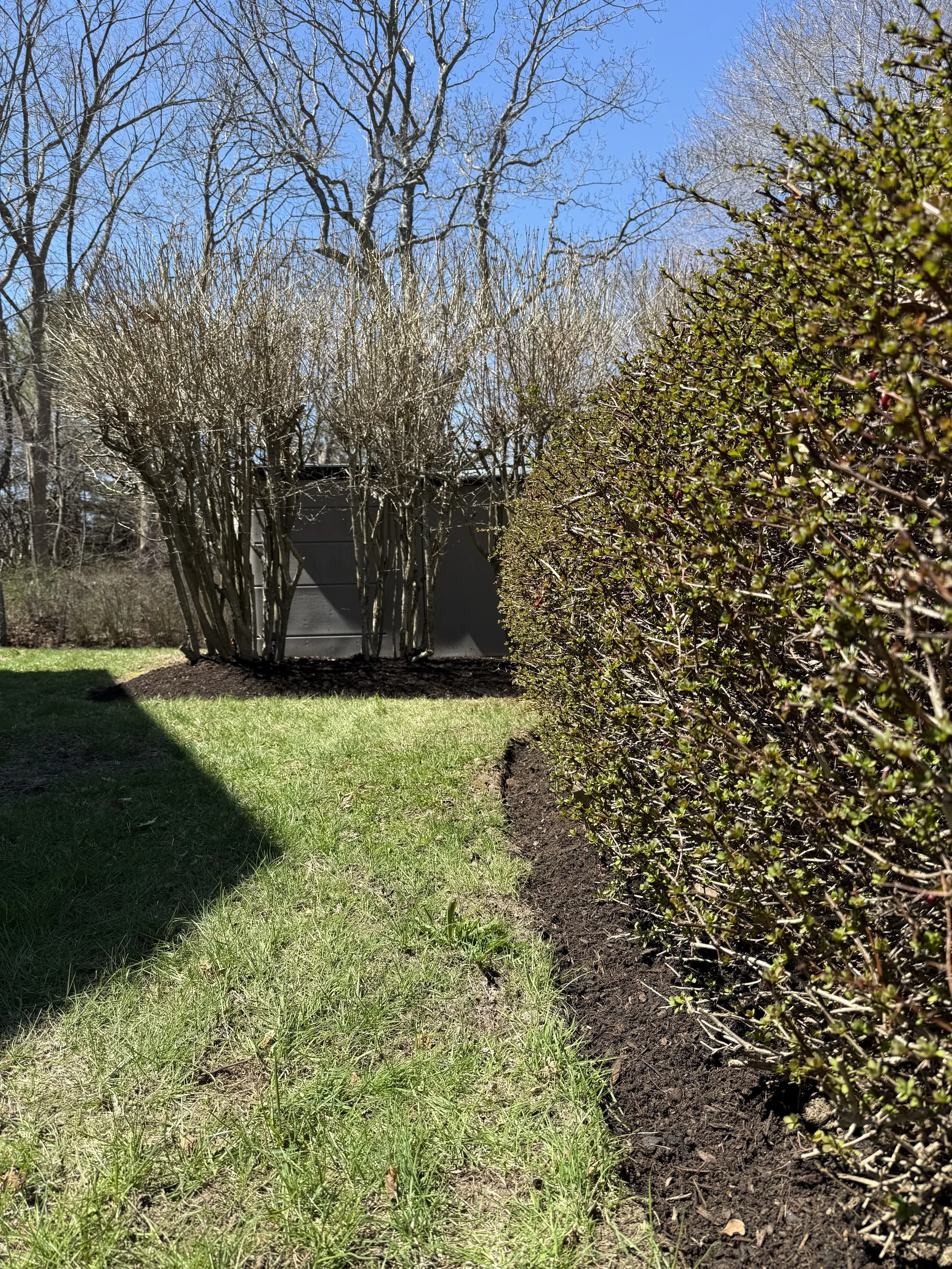 Spring Clean, Crisp Edge + Mulch