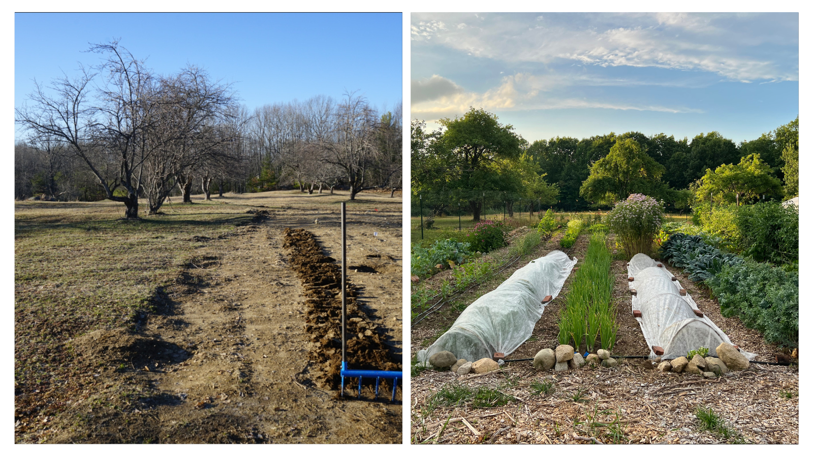 Hollis, ME; Vegetable Garden Install Before+After