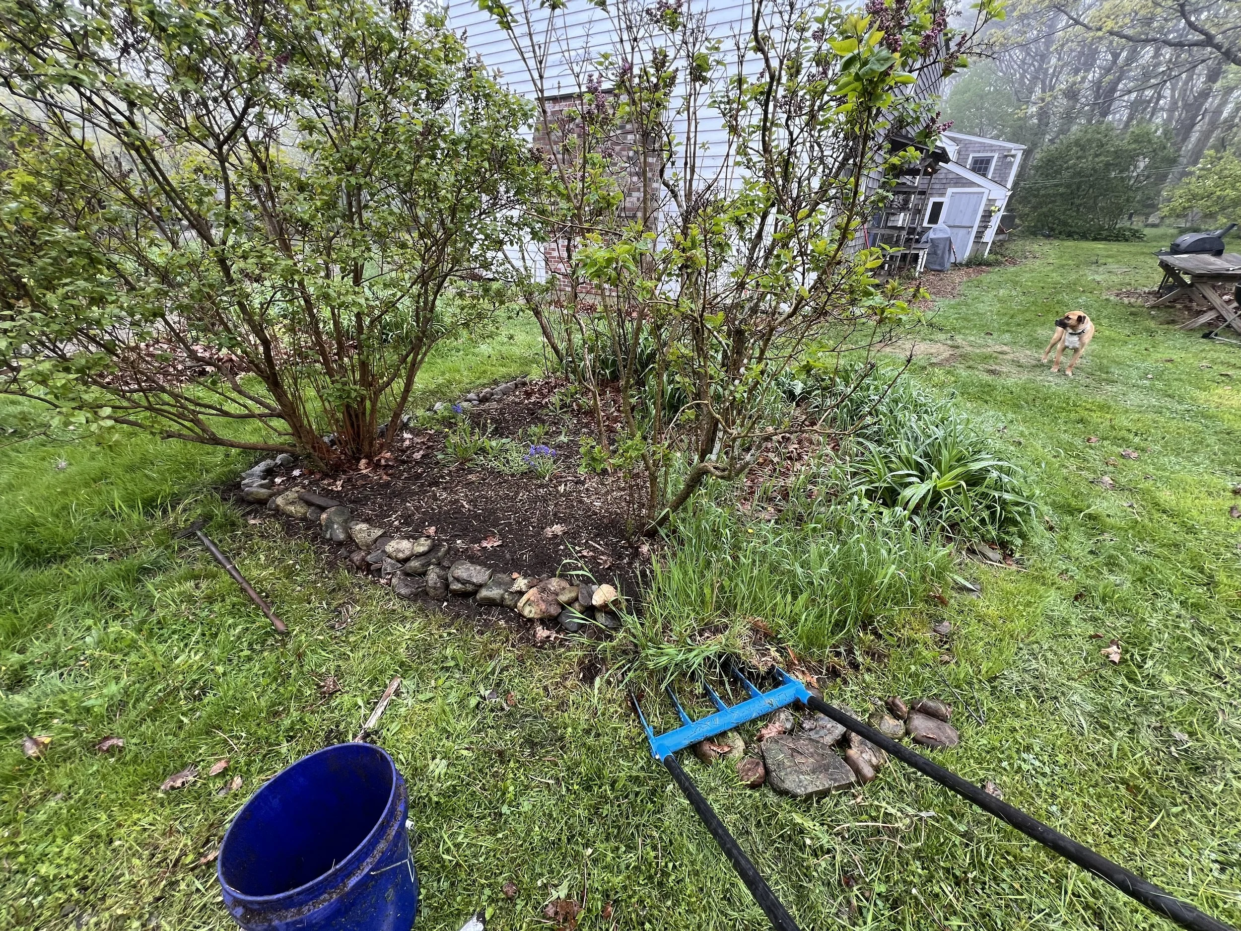 Clean + Edge; after/before