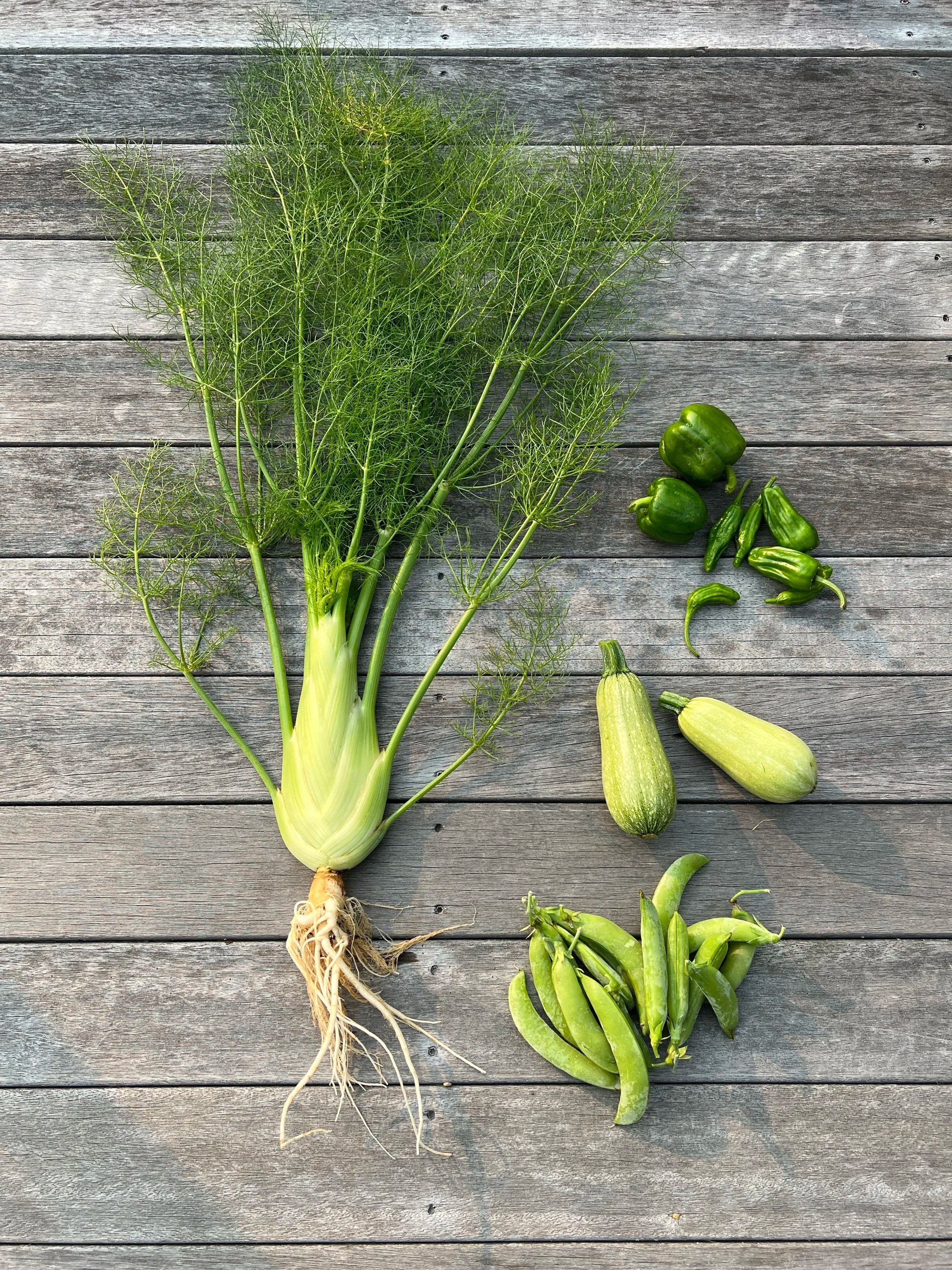 green vegetables. fennel, peas, zucchini, green pepper