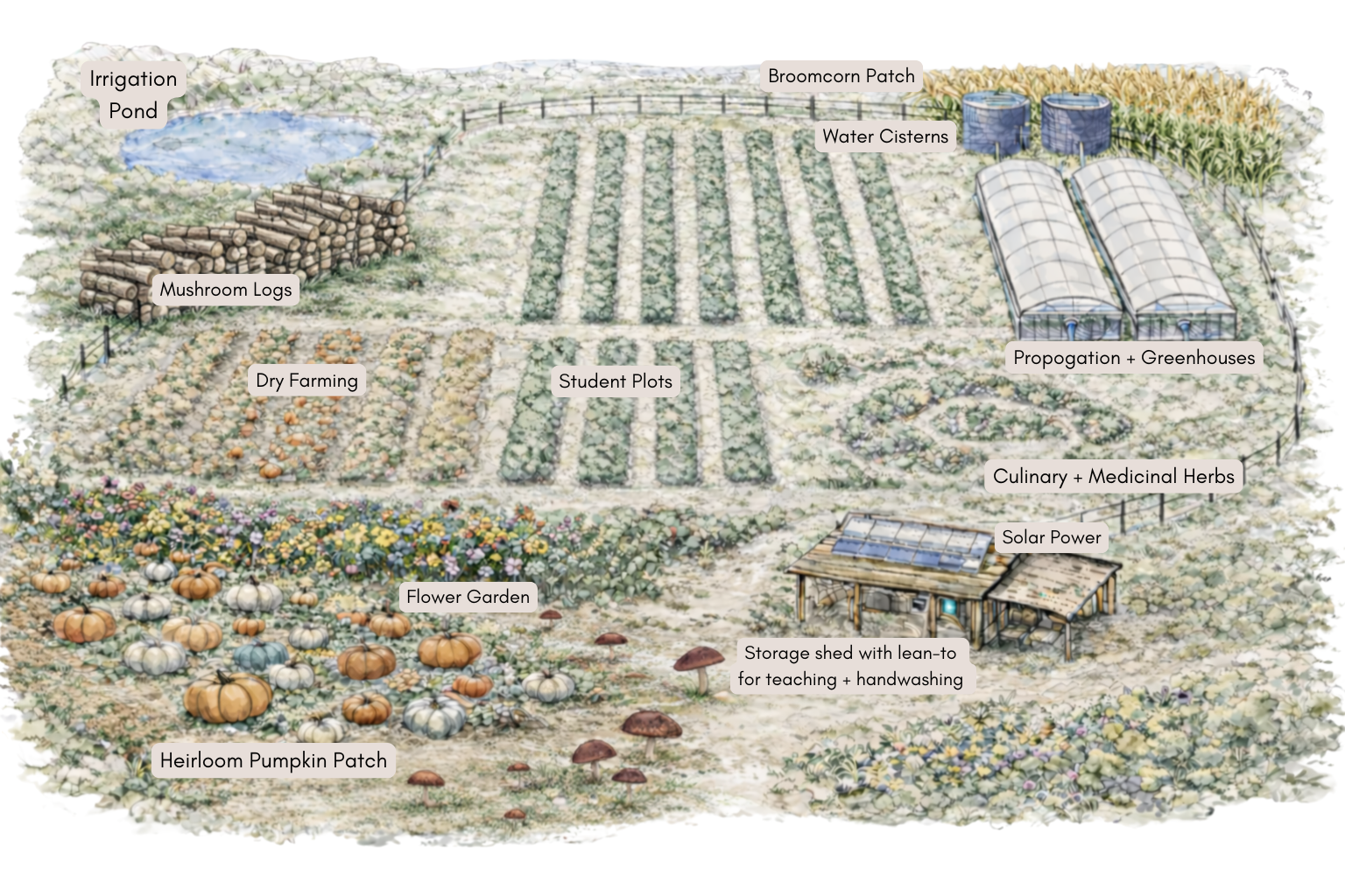 Educational Initiative Rendering with Labels