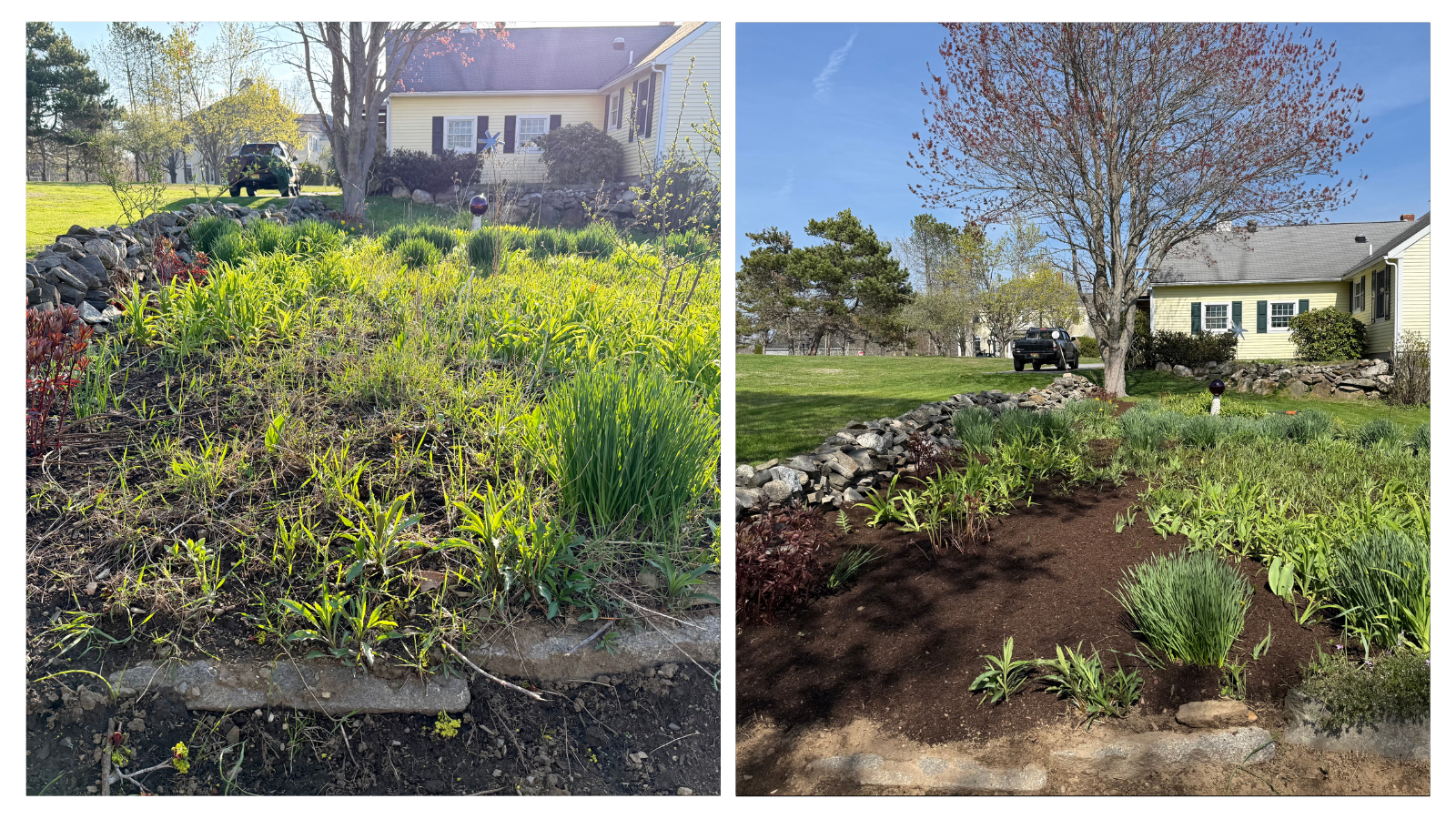 Cape Elizabeth, ME; Ornamental Garden Clean-up Before+After