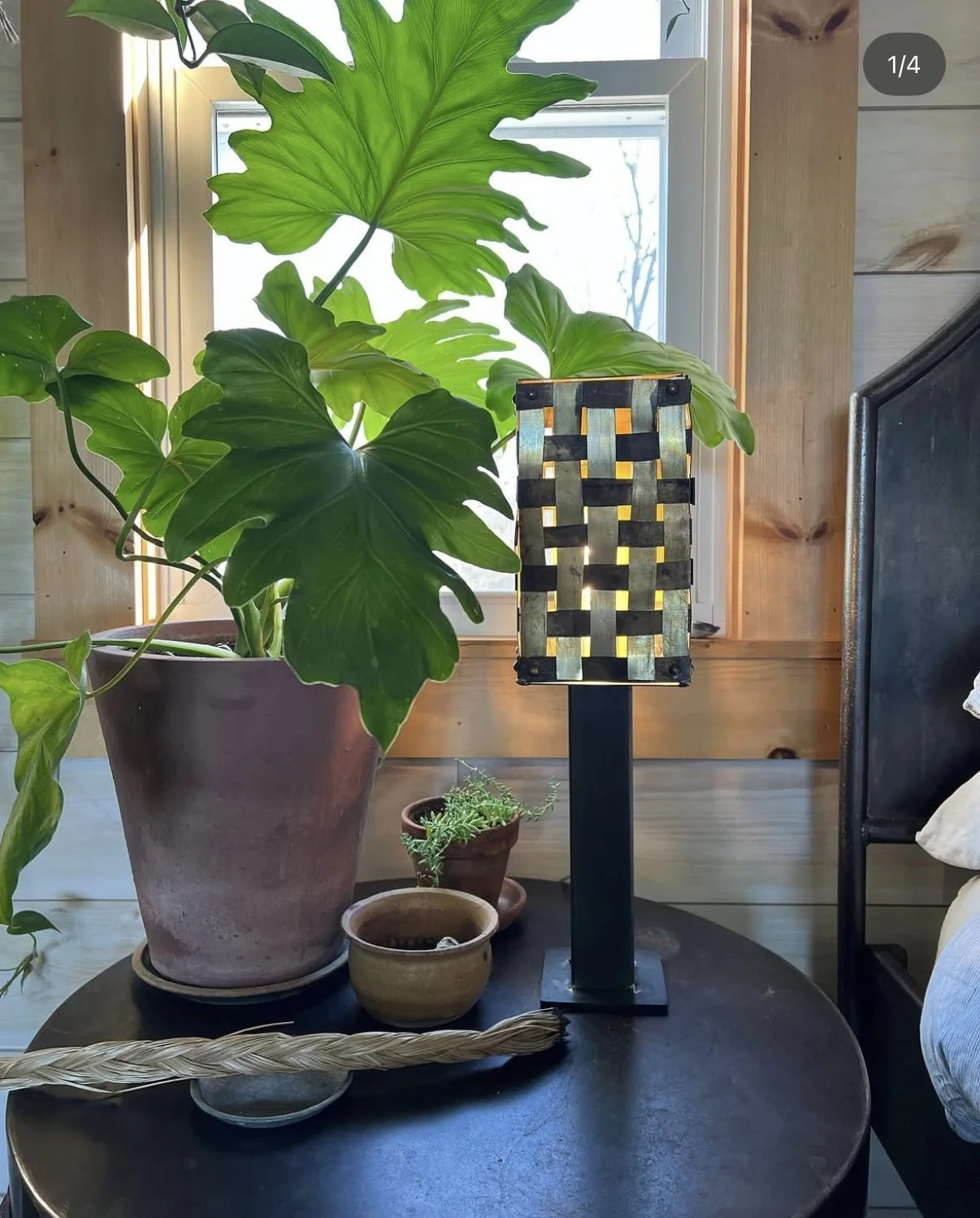 Indoor Plant Care in Coastal Maine