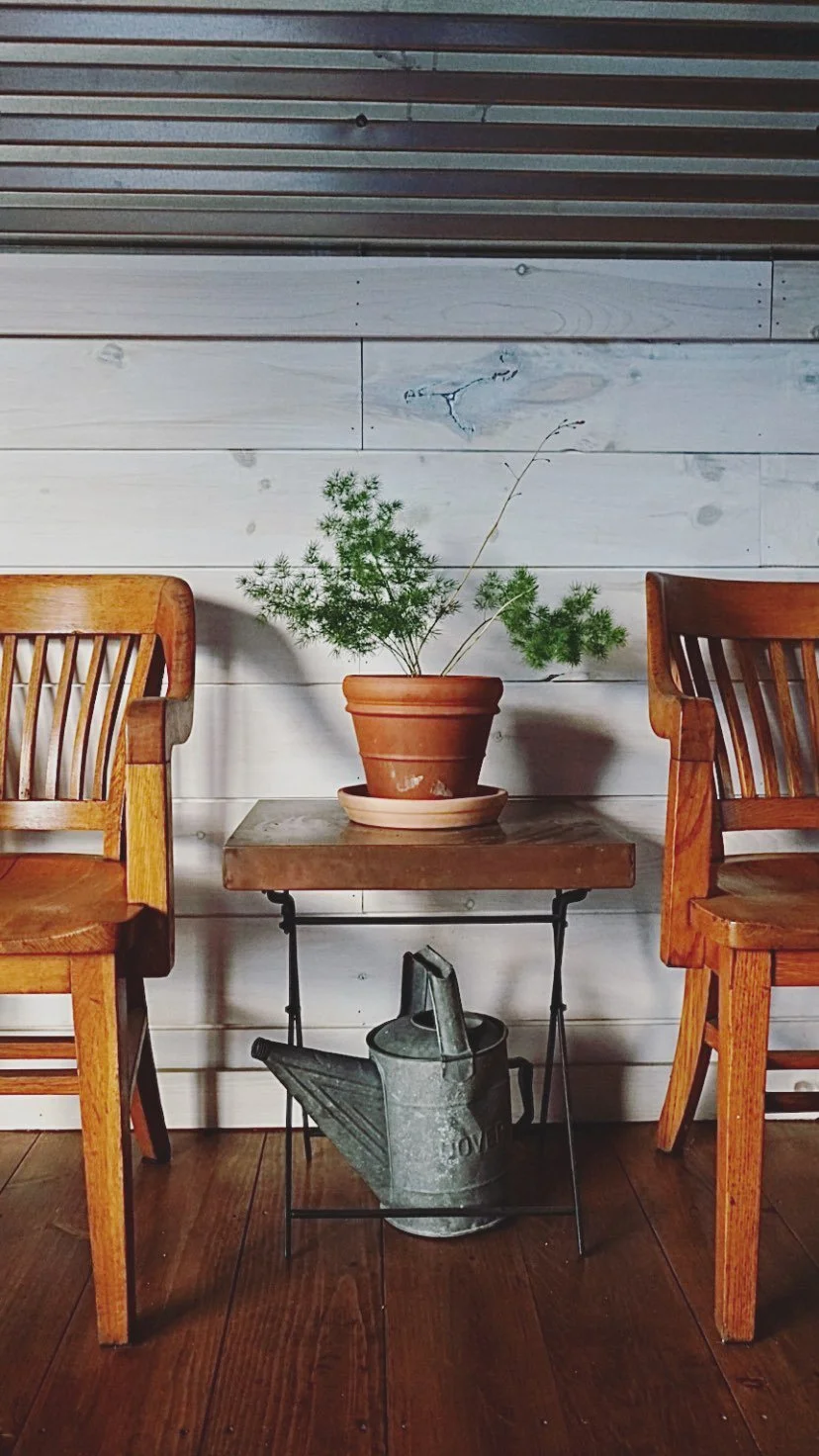 Indoor Houseplant in Coastal Maine