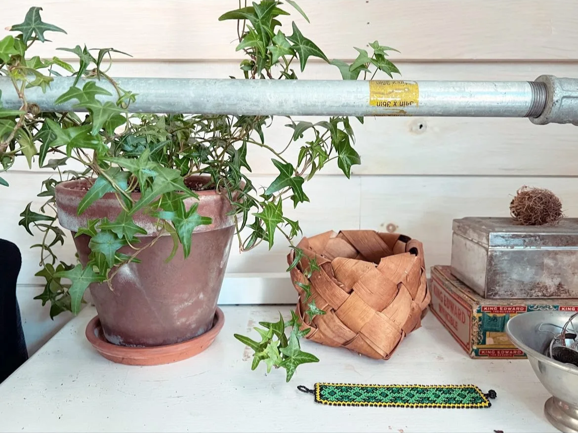 Indoor Plant Care in Coastal Maine