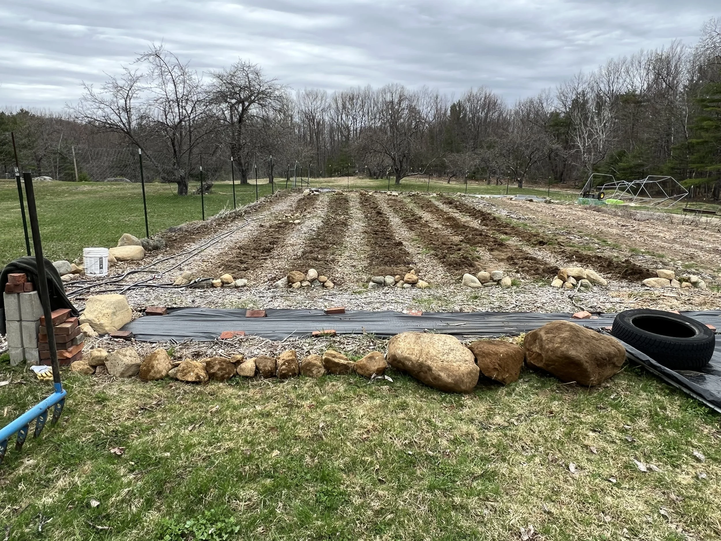 Vegetable Garden Install; pre-planting