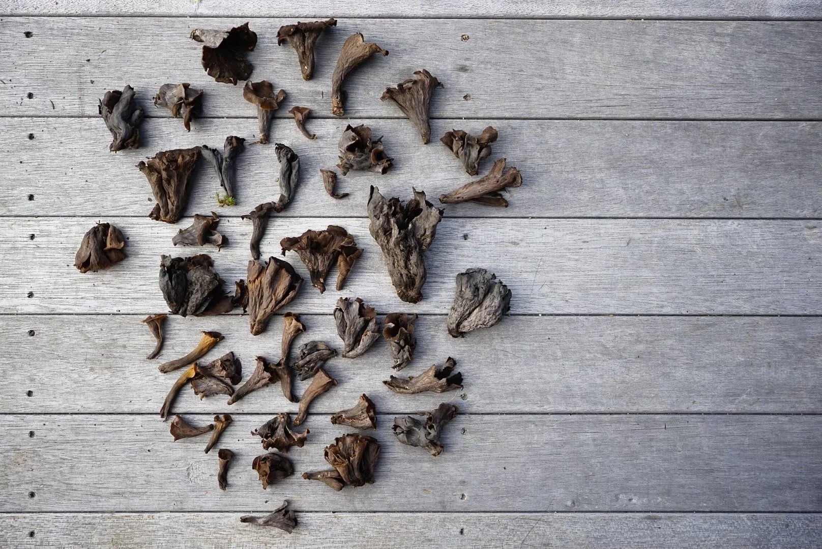 Spread of dried, dark brown mushrooms on wooden surface.